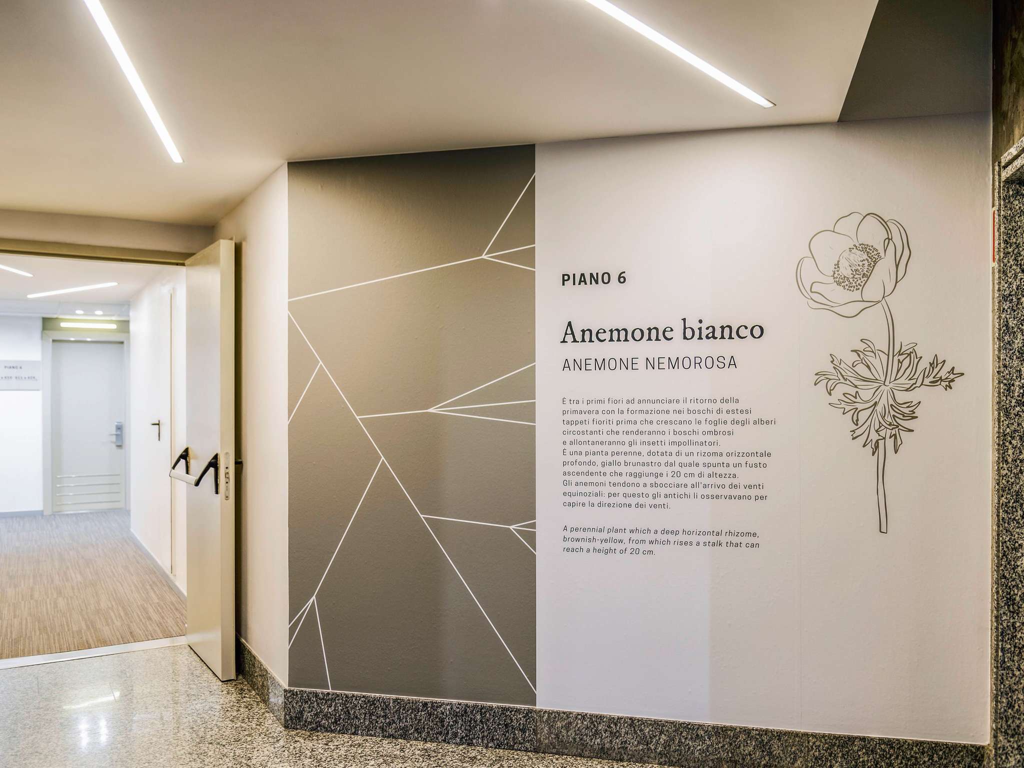 Foto - Mercure Milano Agrate Brianza