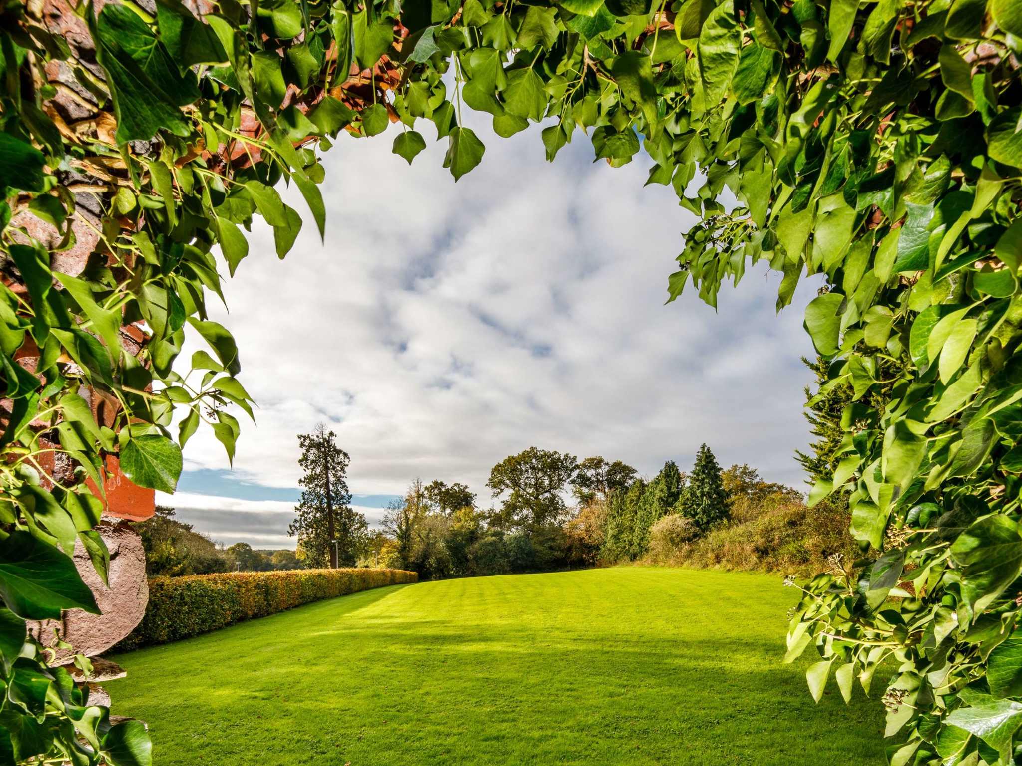 Foto - Mercure Bristol North The Grange Hotel