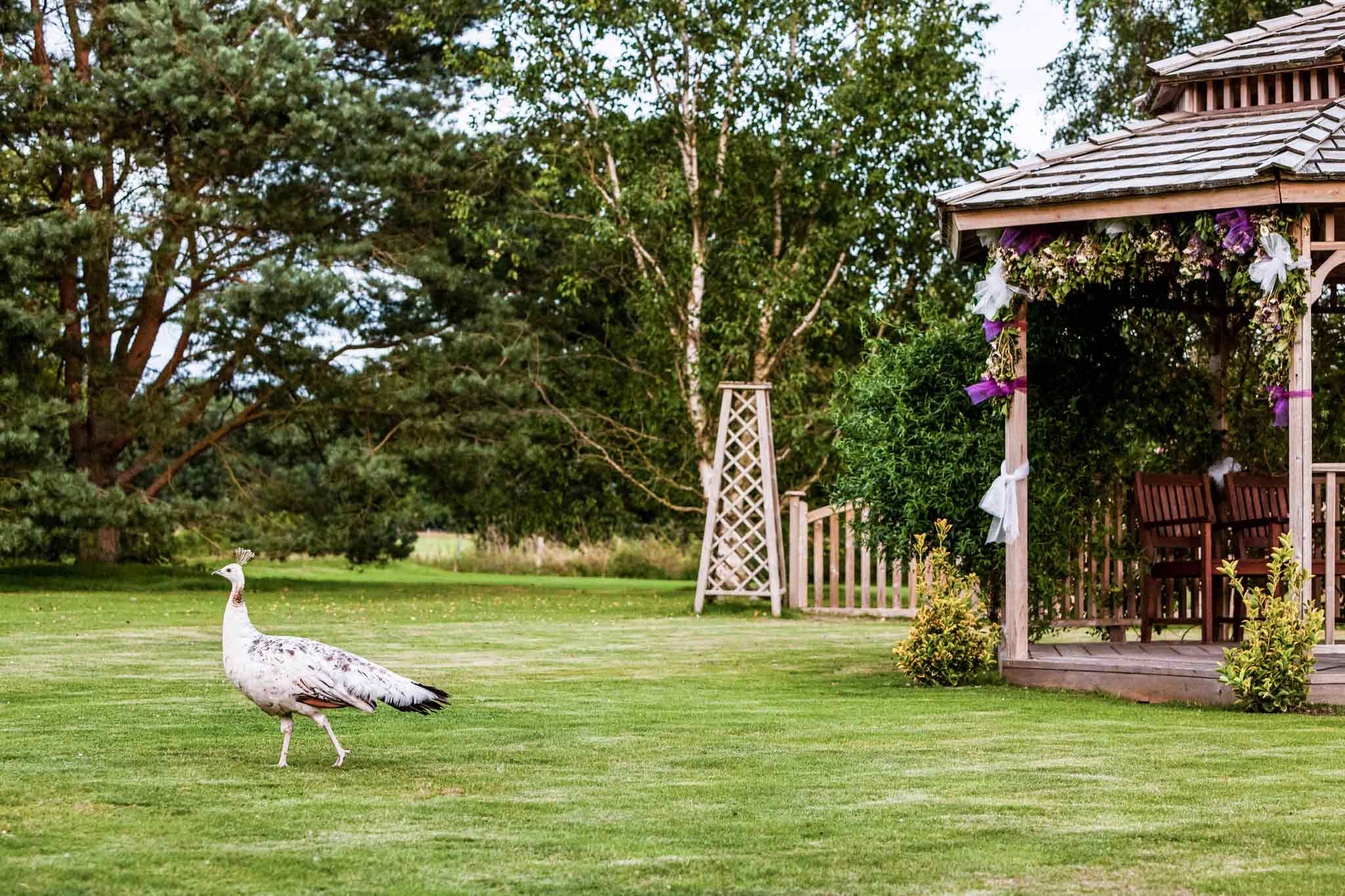 Foto - Mercure Maidstone Great Danes Hotel