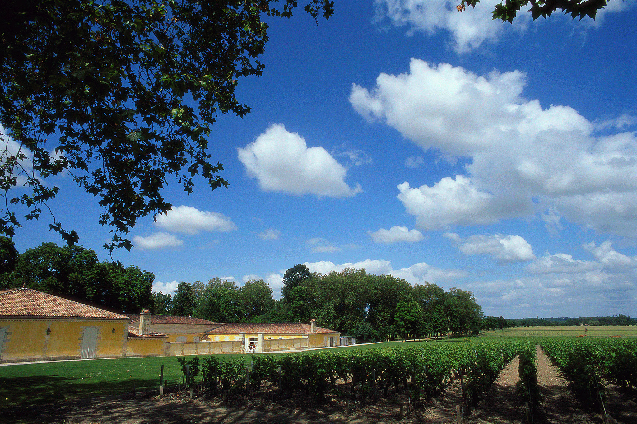 Foto - Aparthotel Adagio Access Bordeaux Rodesse