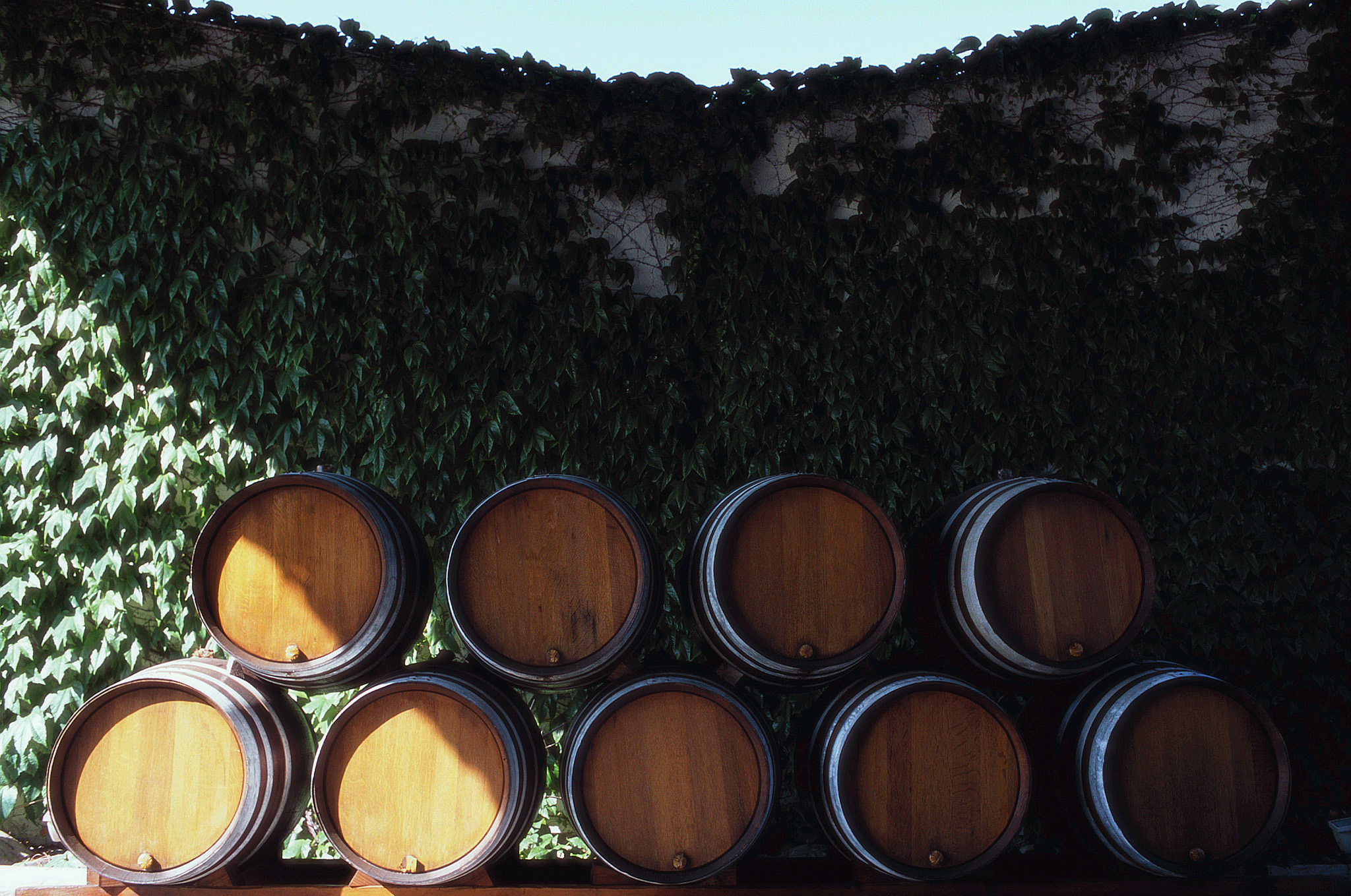 Foto - Aparthotel Adagio Access Bordeaux Rodesse