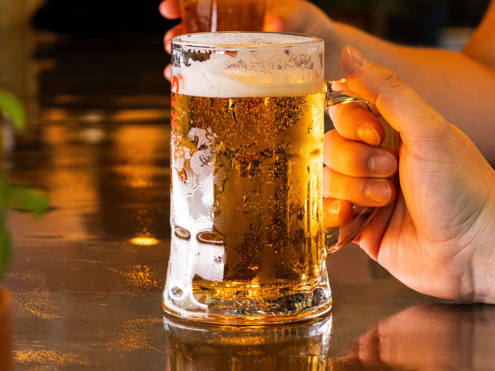 Photo - Hotel Ibis Lisboa Parque das Nações