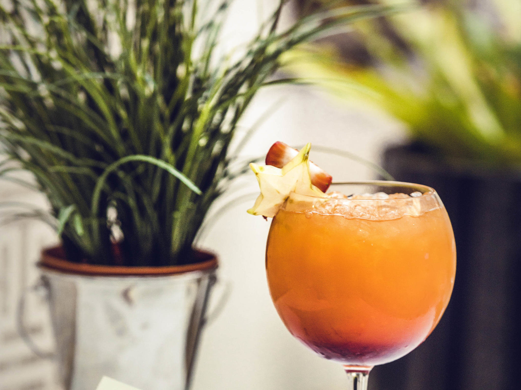 Foto - Novotel Toulouse Centre Wilson