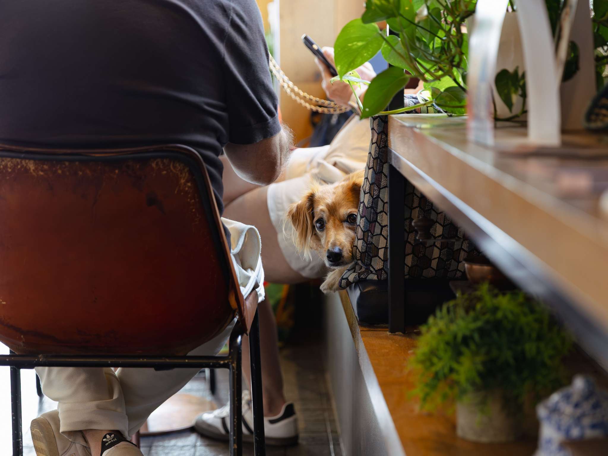 Foto - ibis Cambridge Central Station