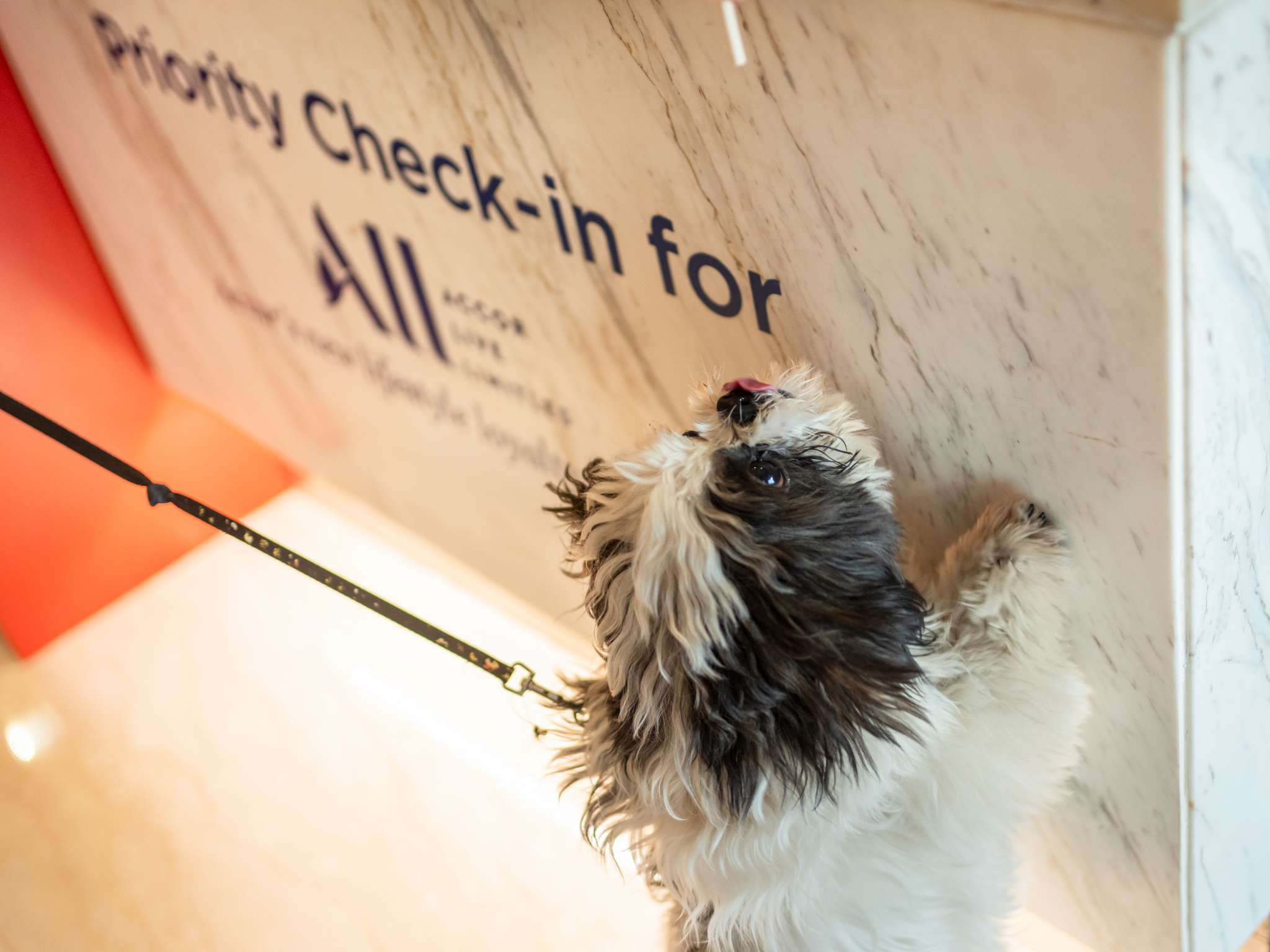 Foto - ibis Wien Hauptbahnhof