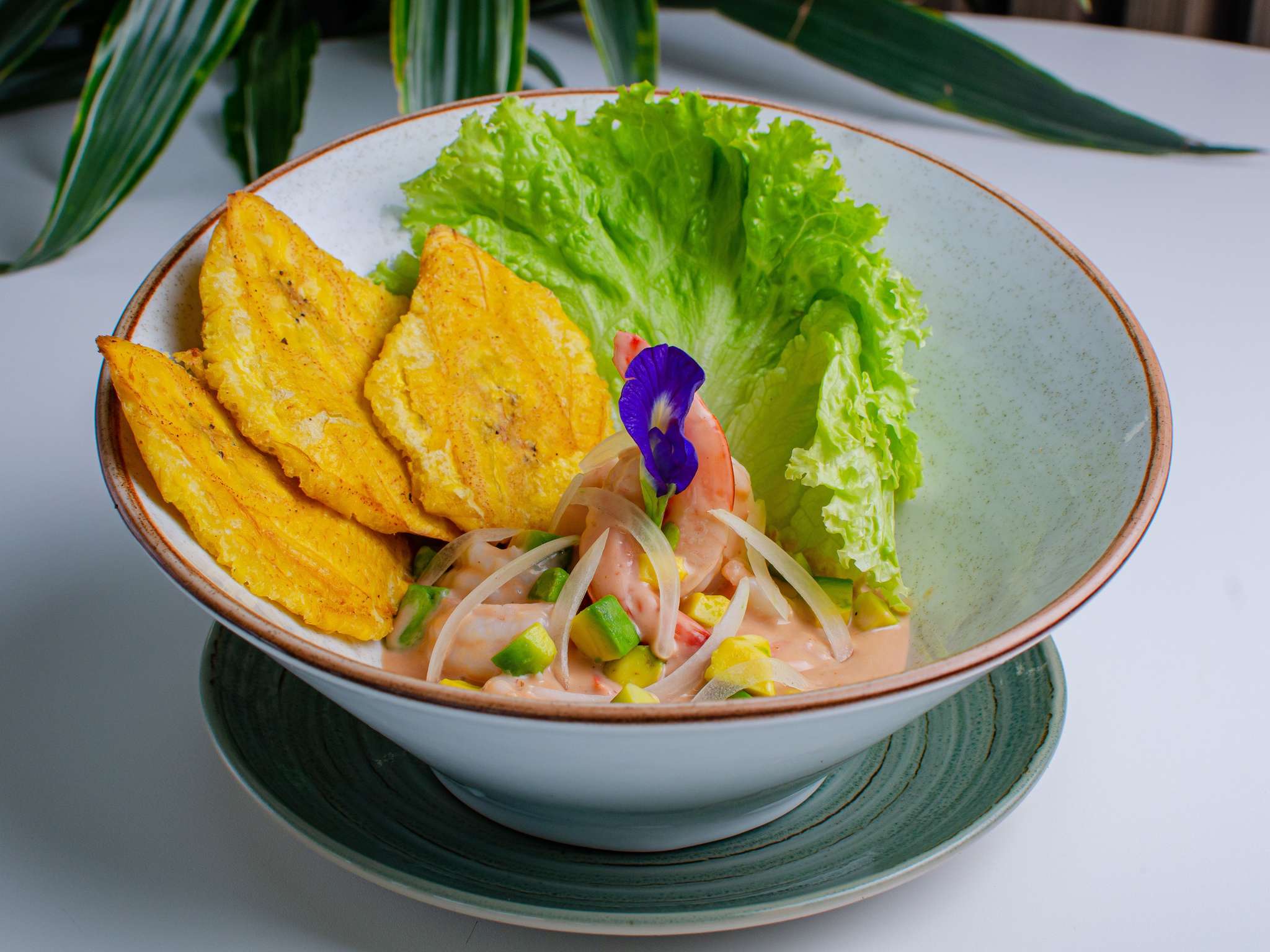 Photo - ibis Cartagena Marbella