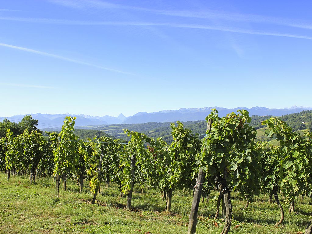 Foto - Parc Beaumont Hôtel & Spa Pau - MGallery Collection