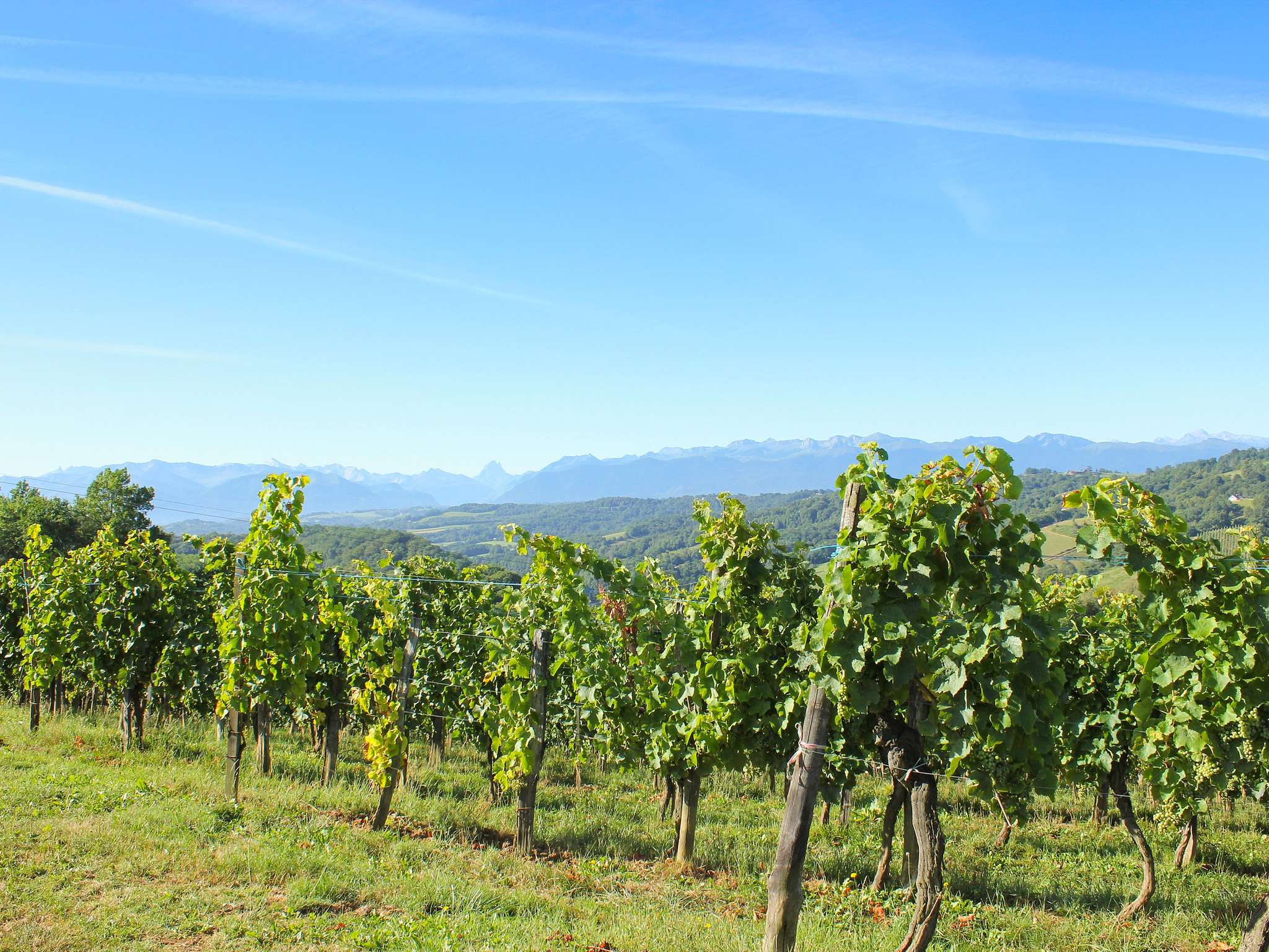 Foto - Parc Beaumont Hôtel & Spa Pau - MGallery Collection