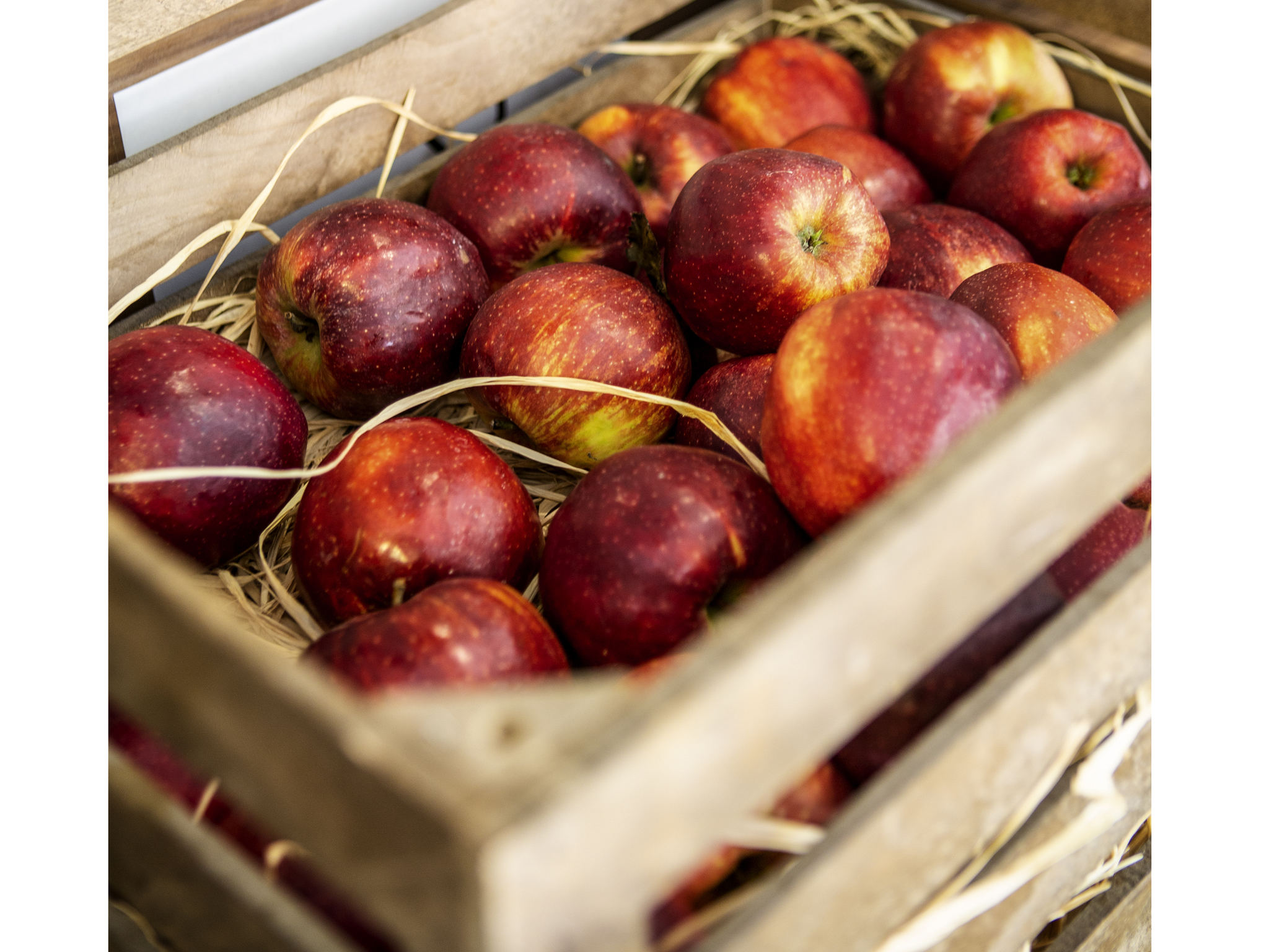 Photo - Ibis Kaunas Centre