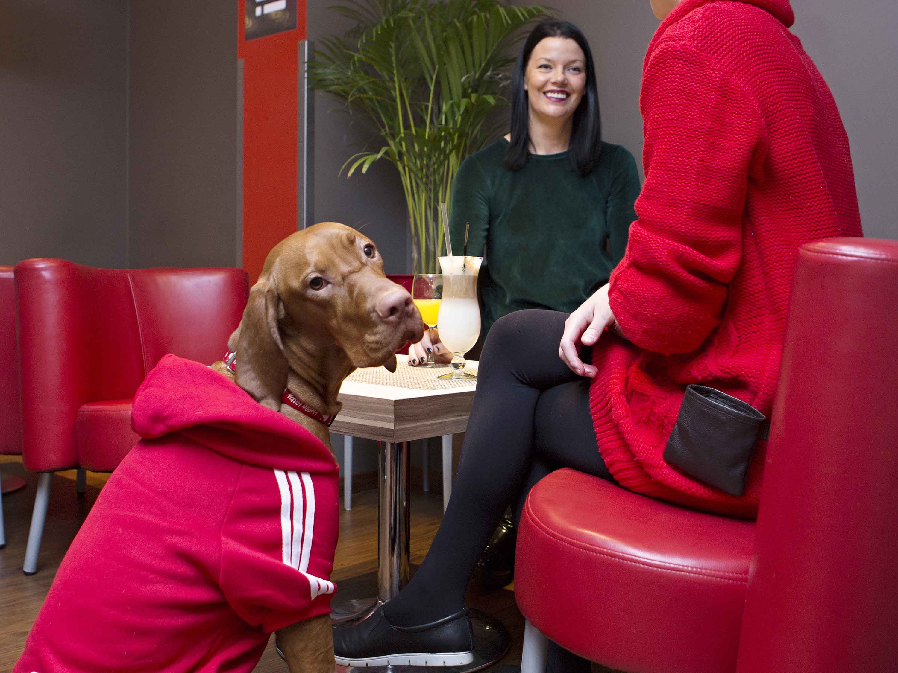 Photo - Ibis Kaunas Centre