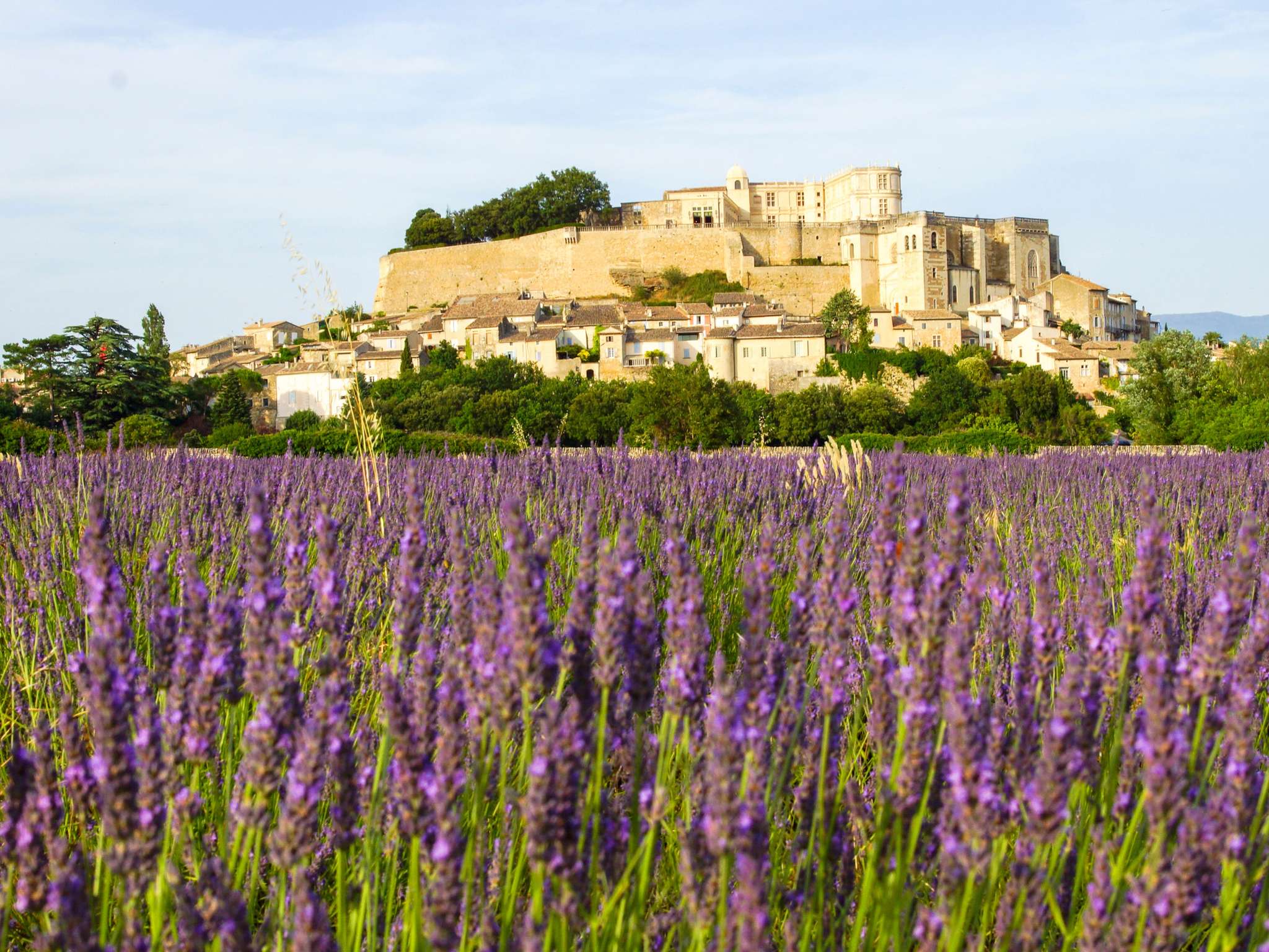 Foto - ibis Styles Romans-Valence Gare TGV