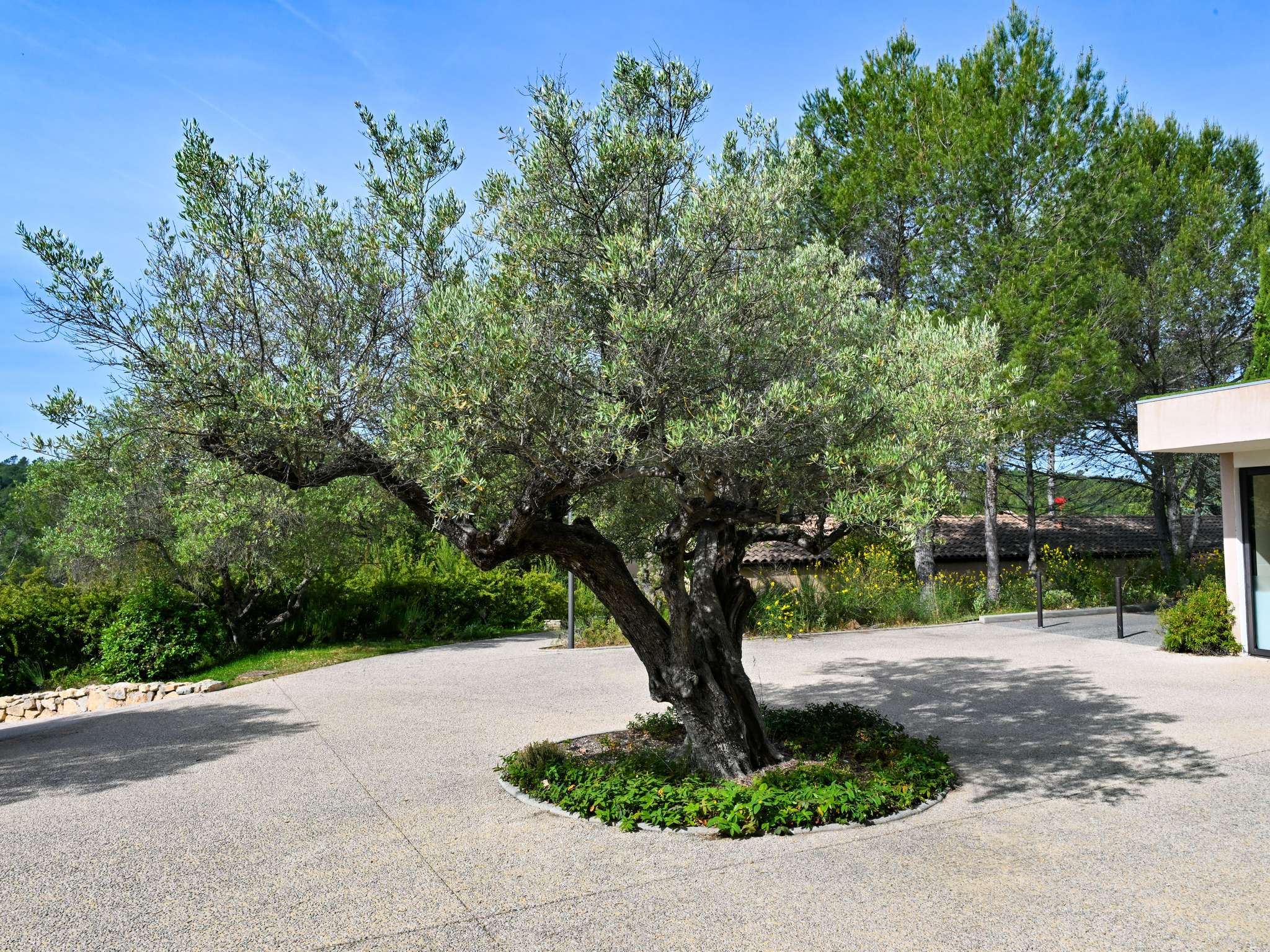 Photo - Mercure Brignoles Golf de Barbaroux & Spa