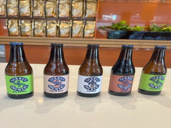 Foto - Novotel Newcastle Beach