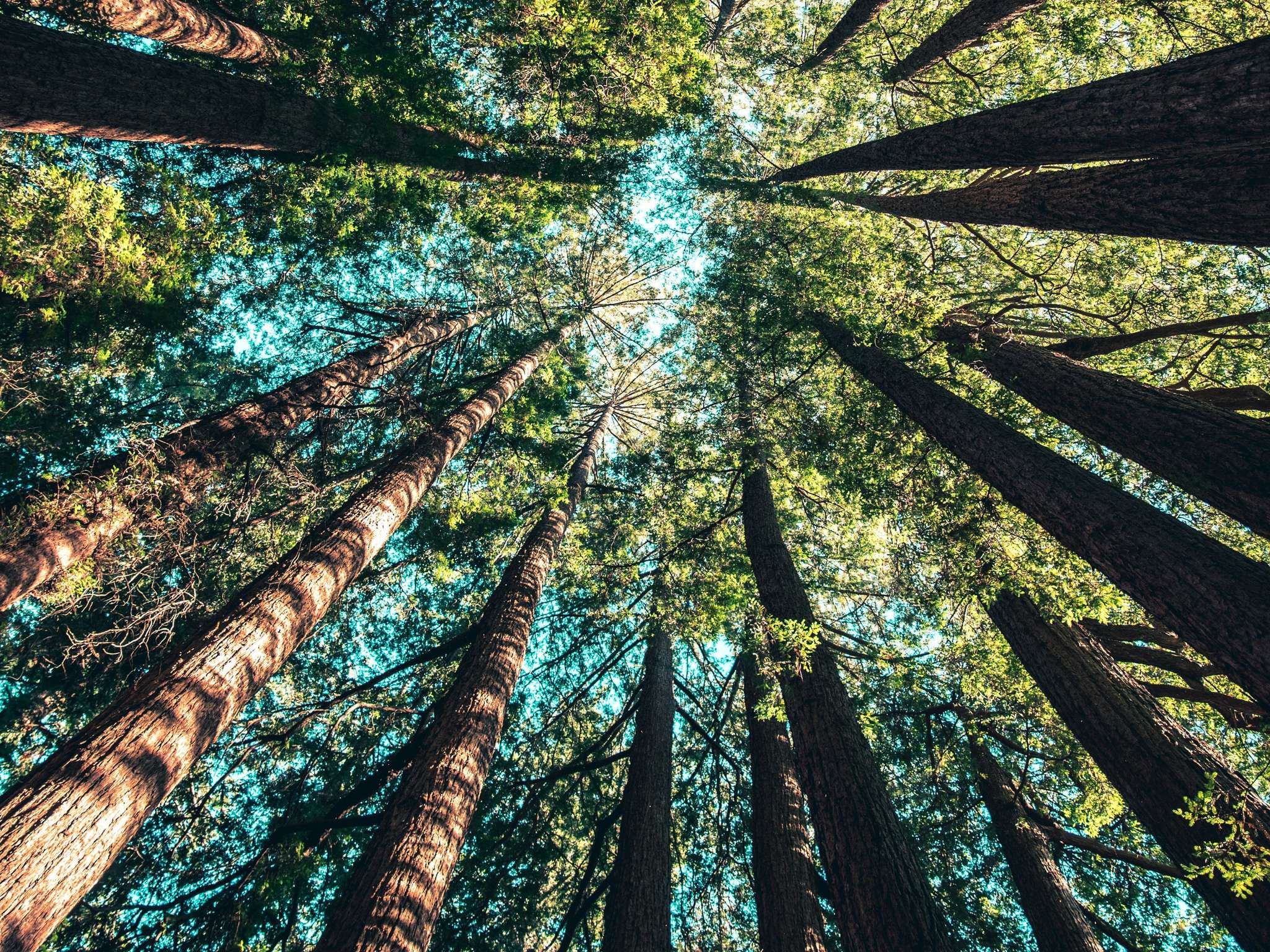 Foto - Novotel Newcastle Beach