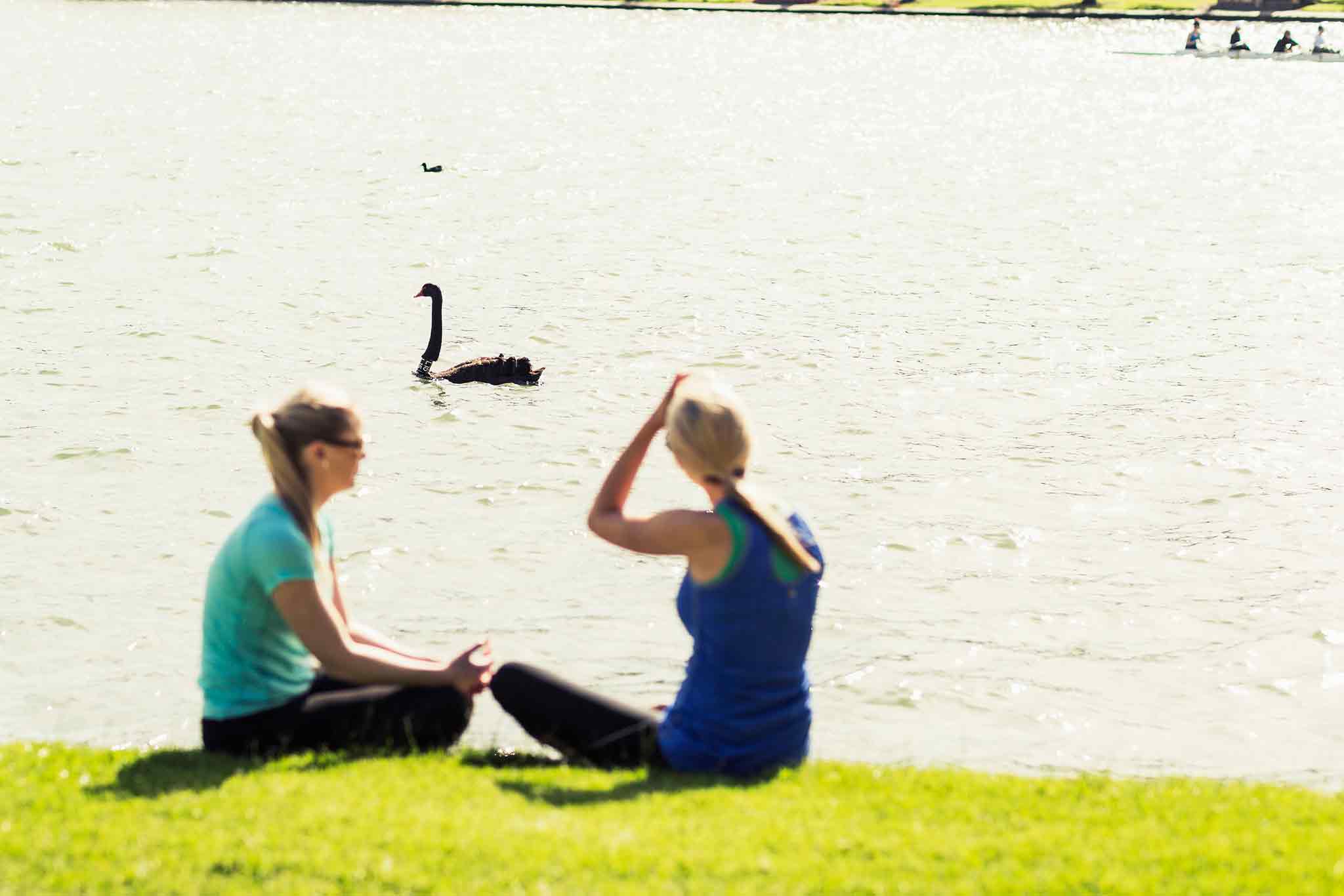 Foto - Pullman Melbourne Albert Park