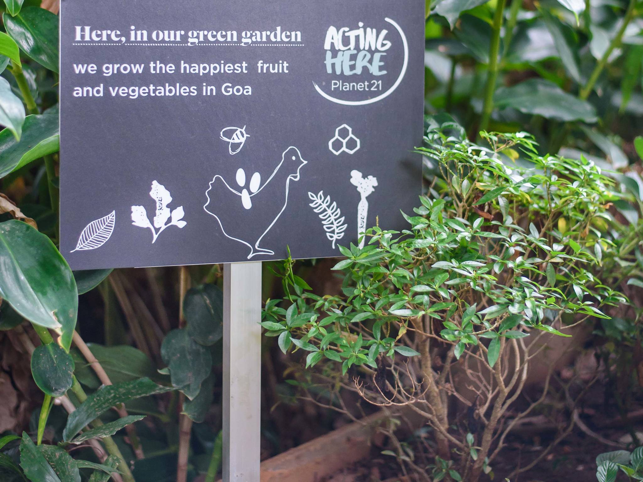 Photo - Novotel Goa Resort & Spa Candolim