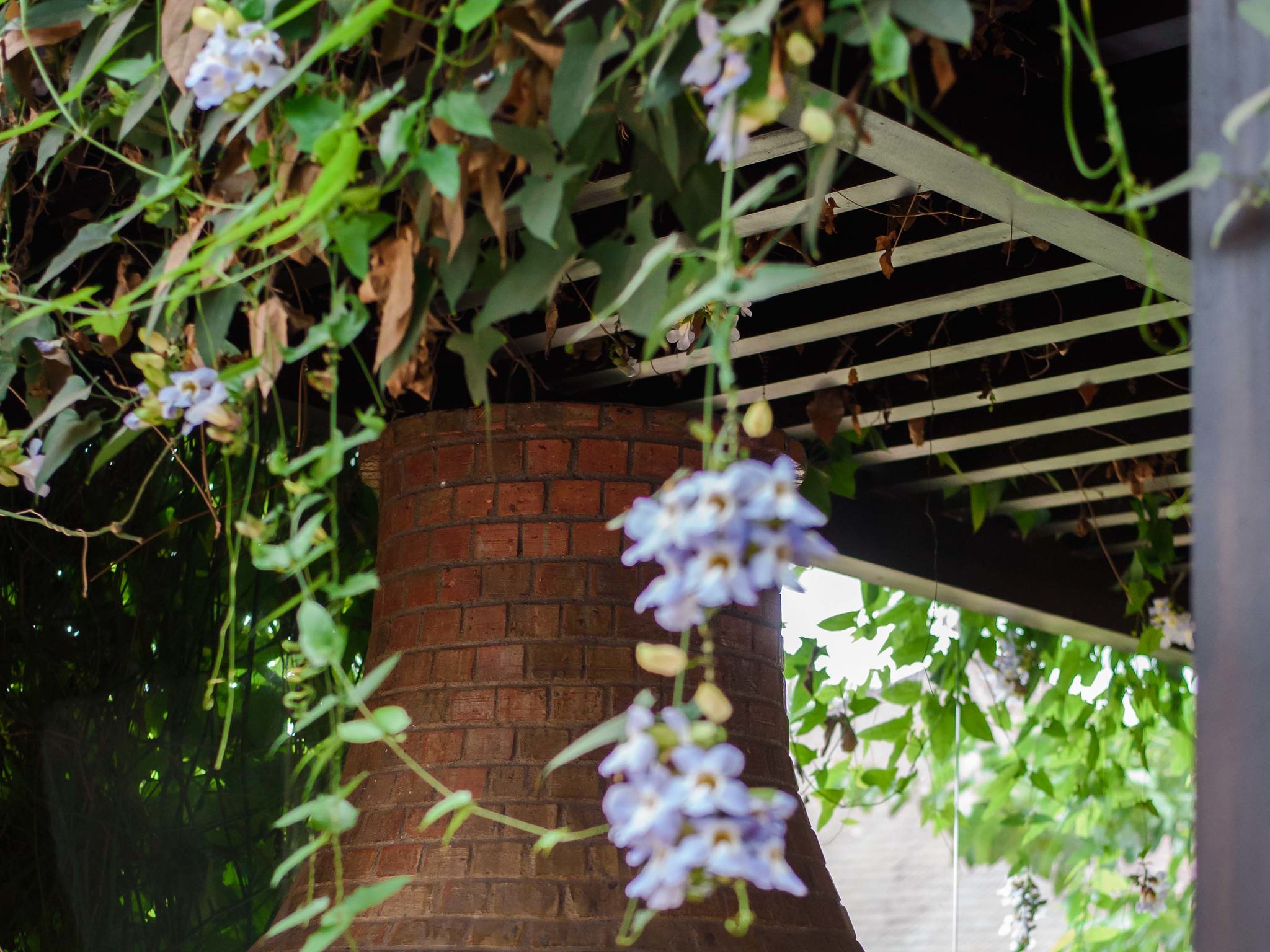 Photo - Novotel Goa Resort & Spa Candolim