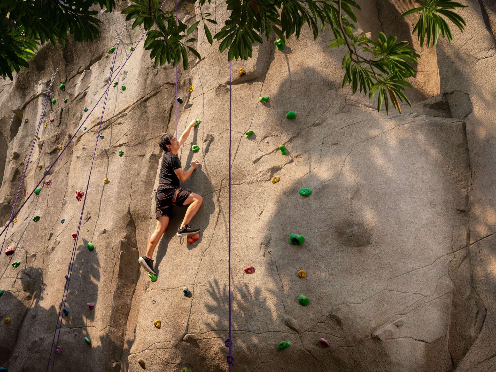 Photo - Mercure Pattaya Ocean Resort