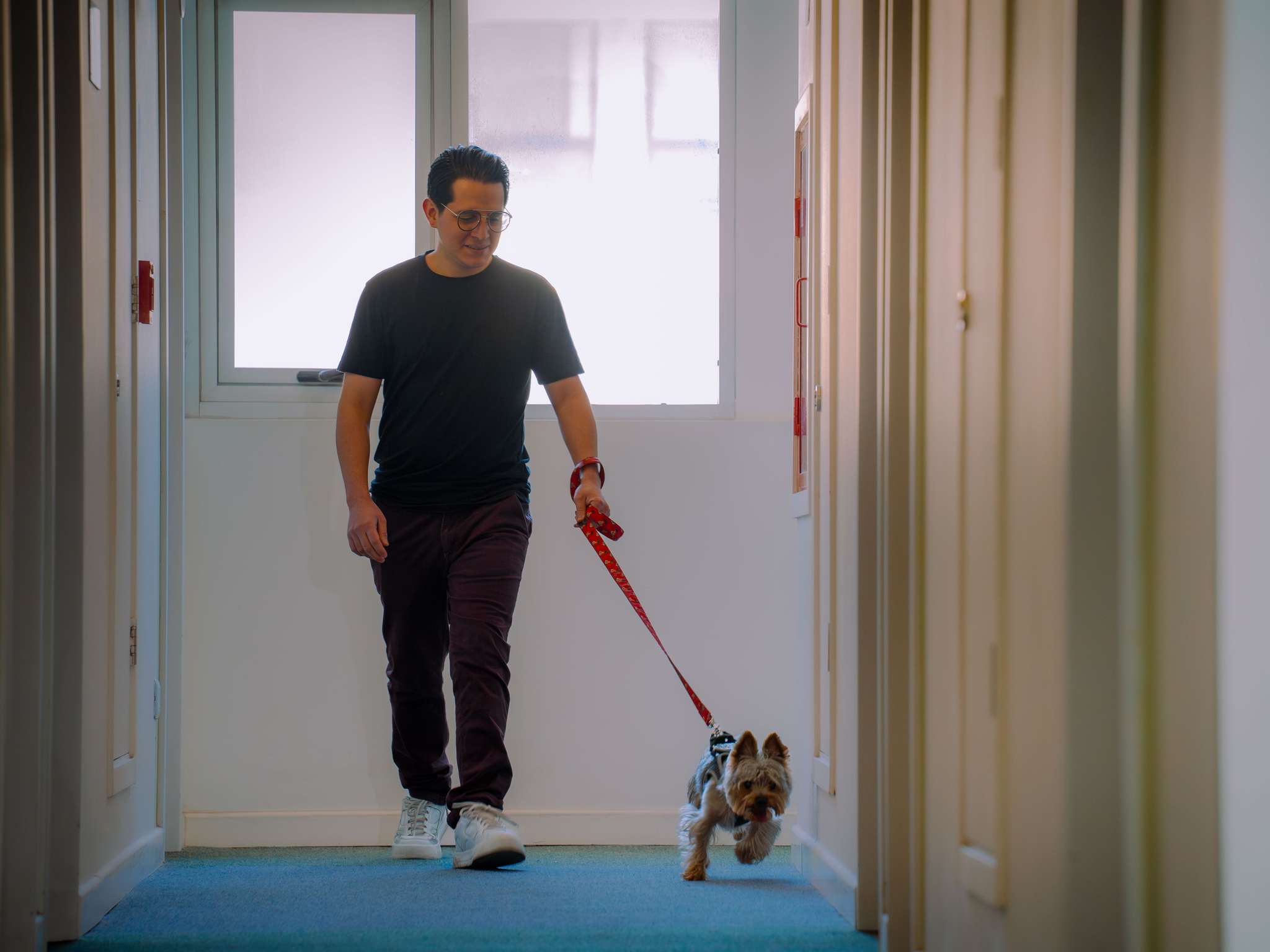 Photo - ibis budget Copiapo