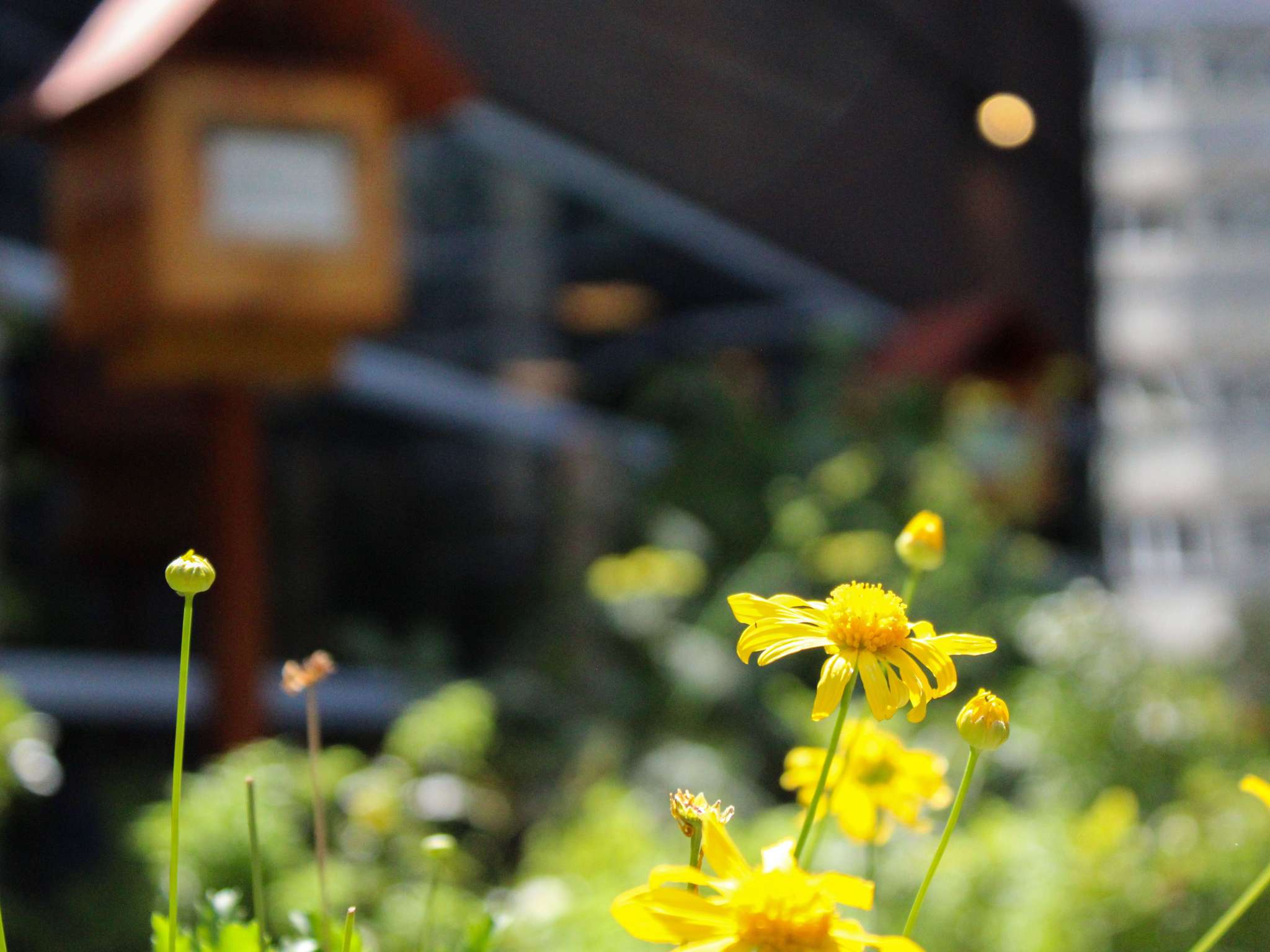 Foto - Pullman Sao Paulo Vila Olimpia