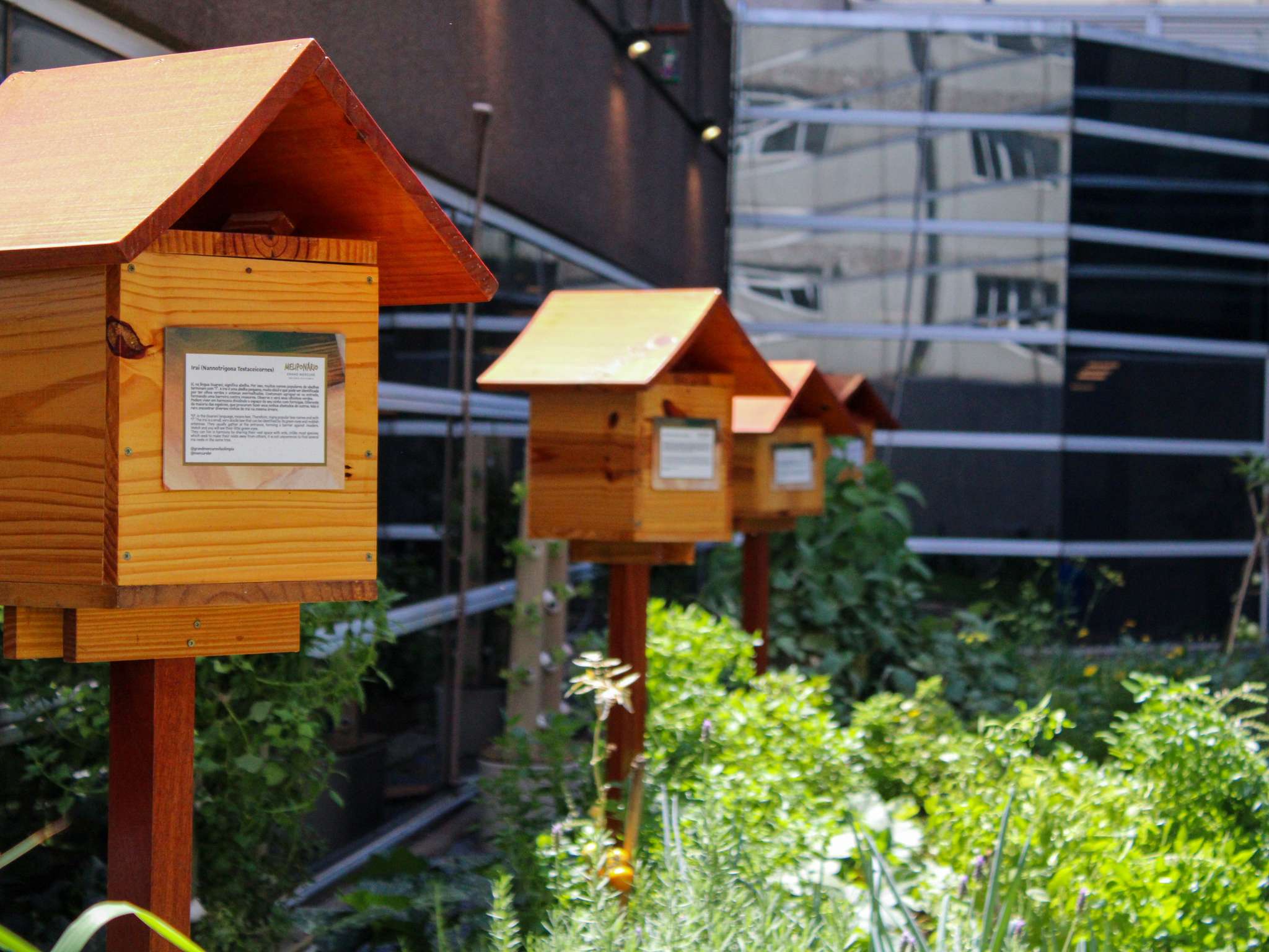 Foto - Pullman Sao Paulo Vila Olimpia