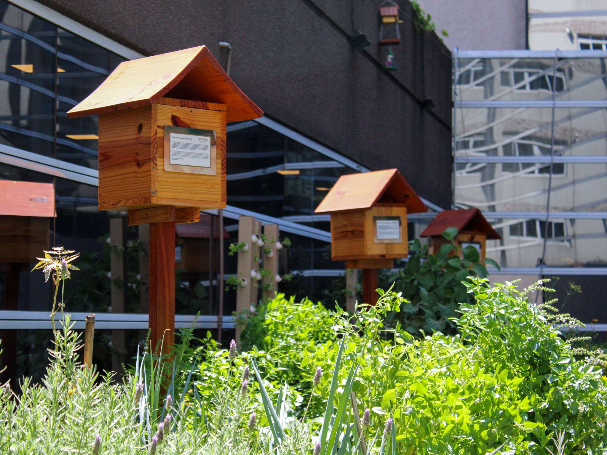 Foto - Pullman Sao Paulo Vila Olimpia