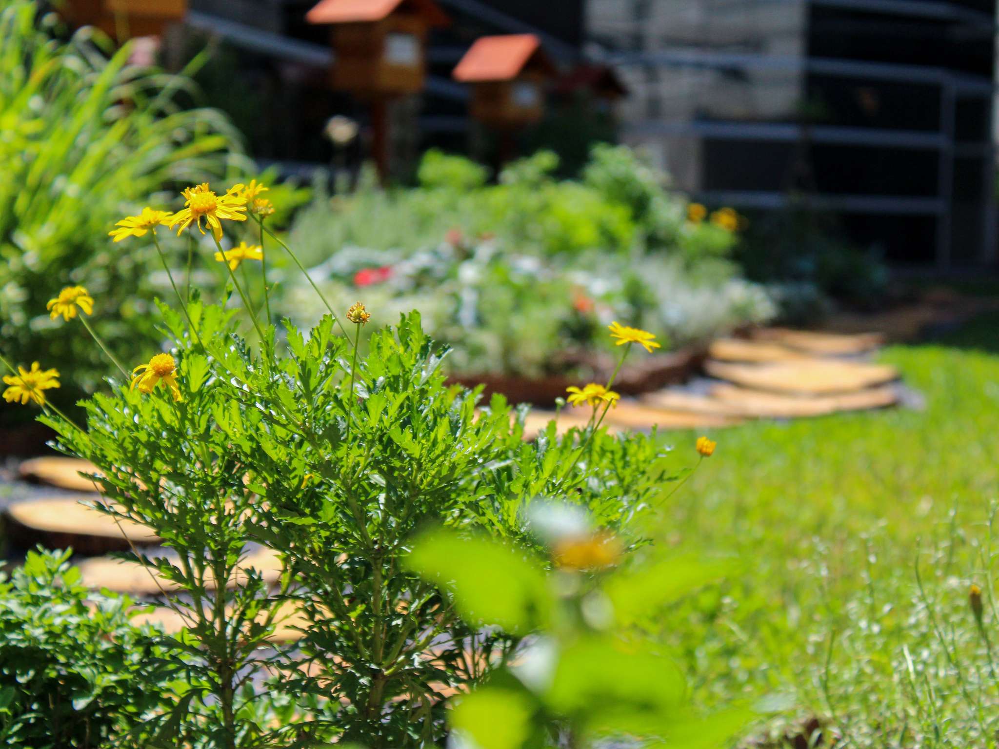 Foto - Pullman Sao Paulo Vila Olimpia