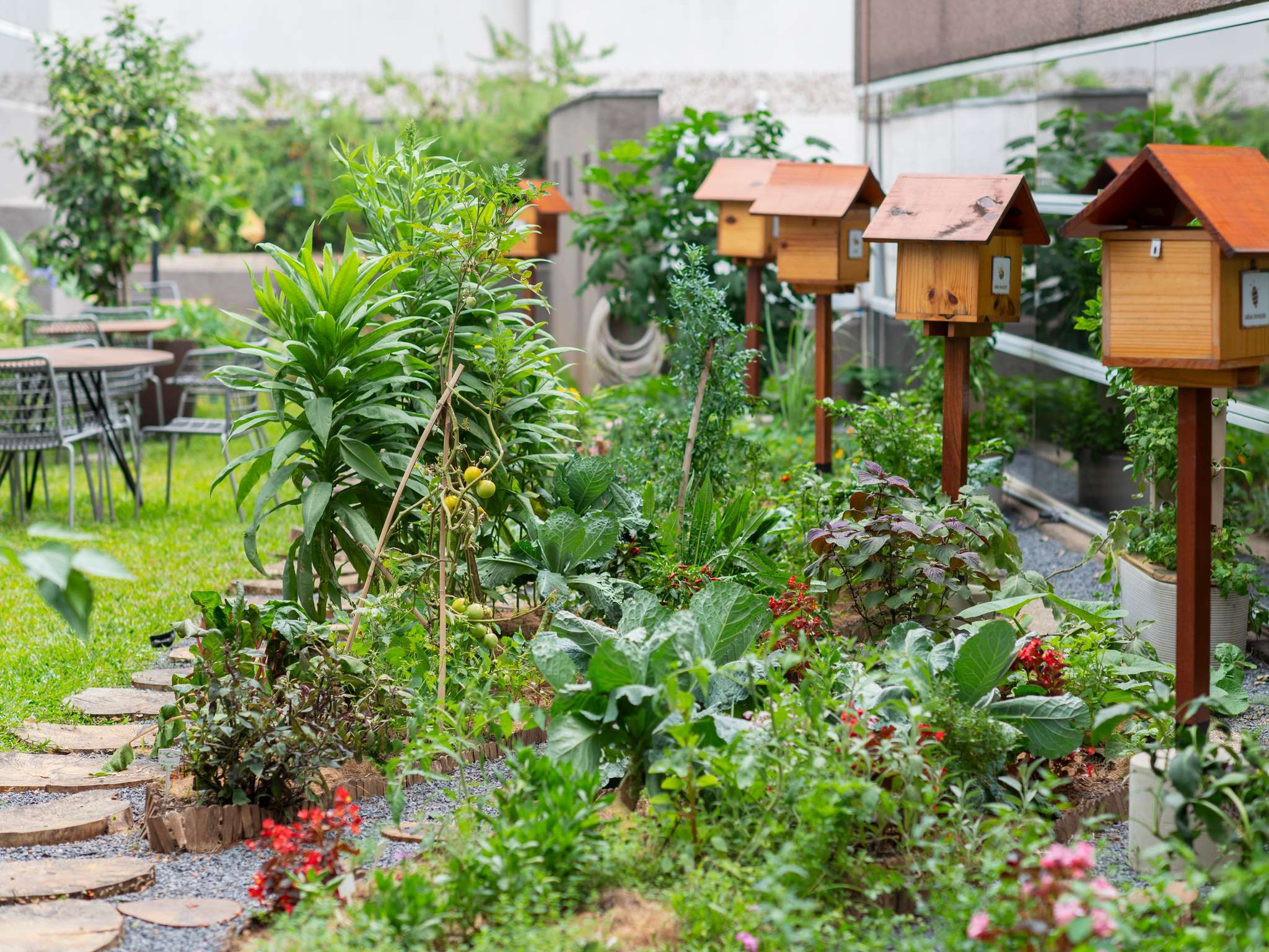 Photo - Grand Mercure Sao Paulo Vila Olimpia