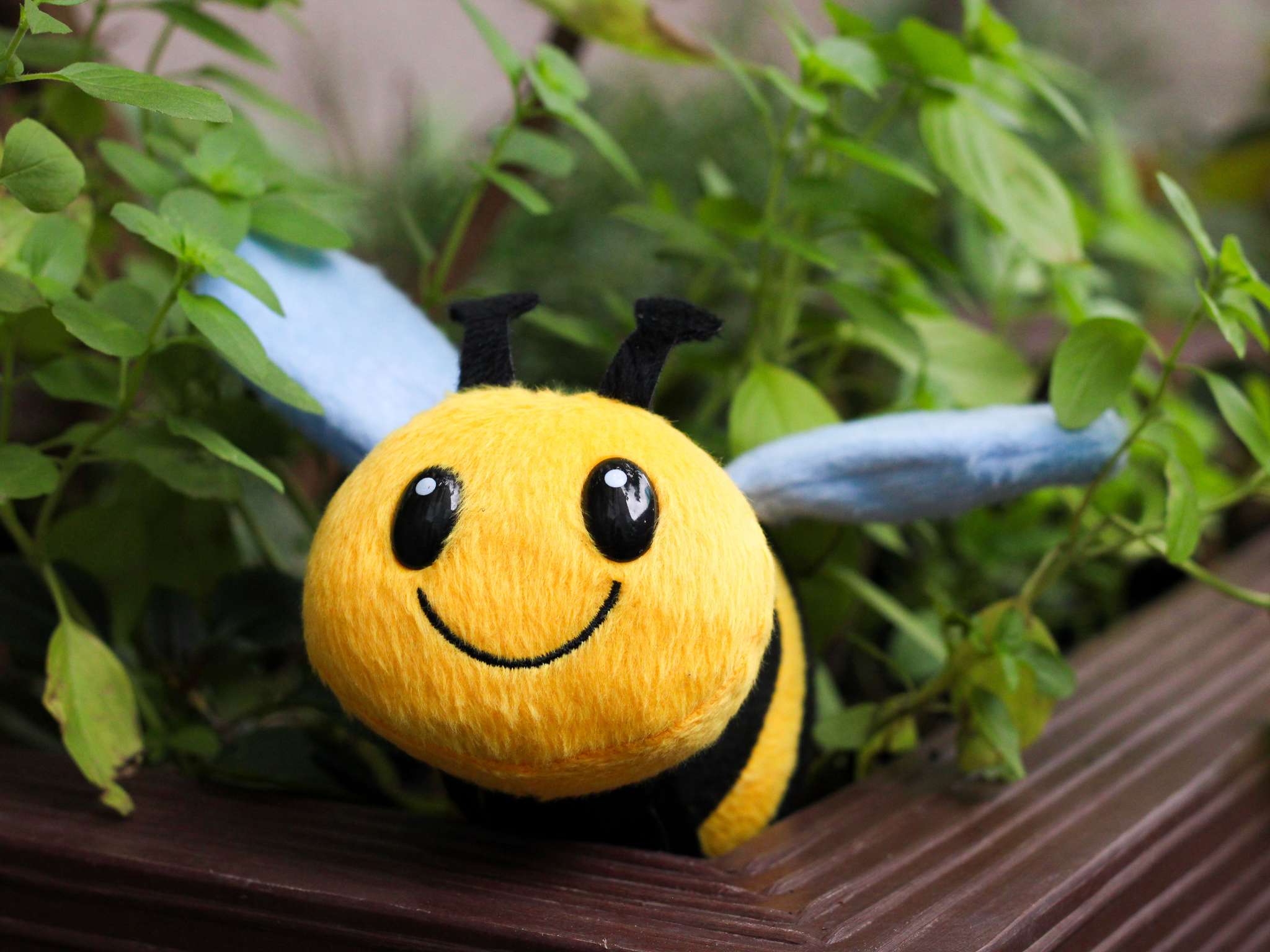 Photo - Grand Mercure Sao Paulo Vila Olimpia