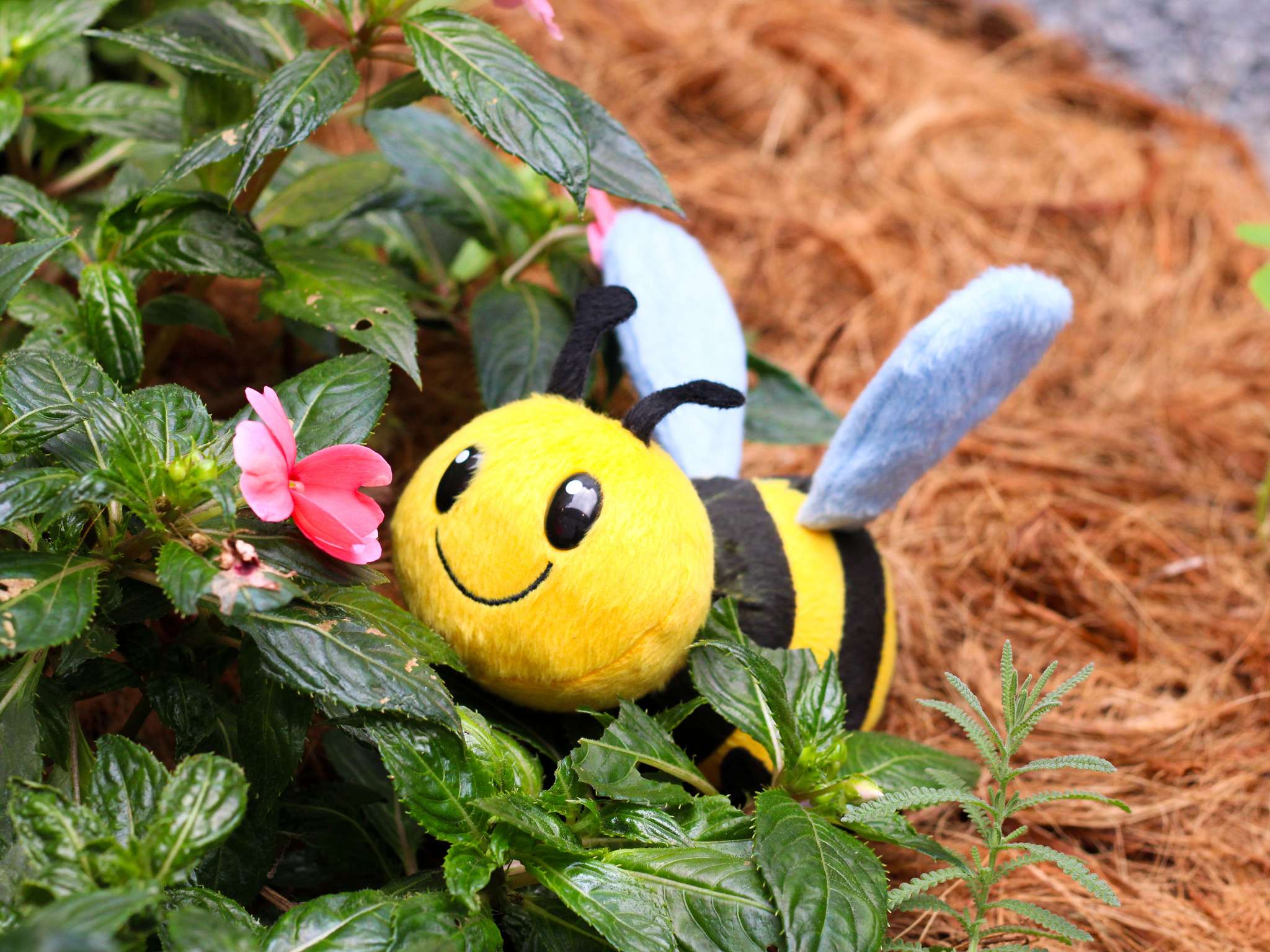 Photo - Grand Mercure Sao Paulo Vila Olimpia