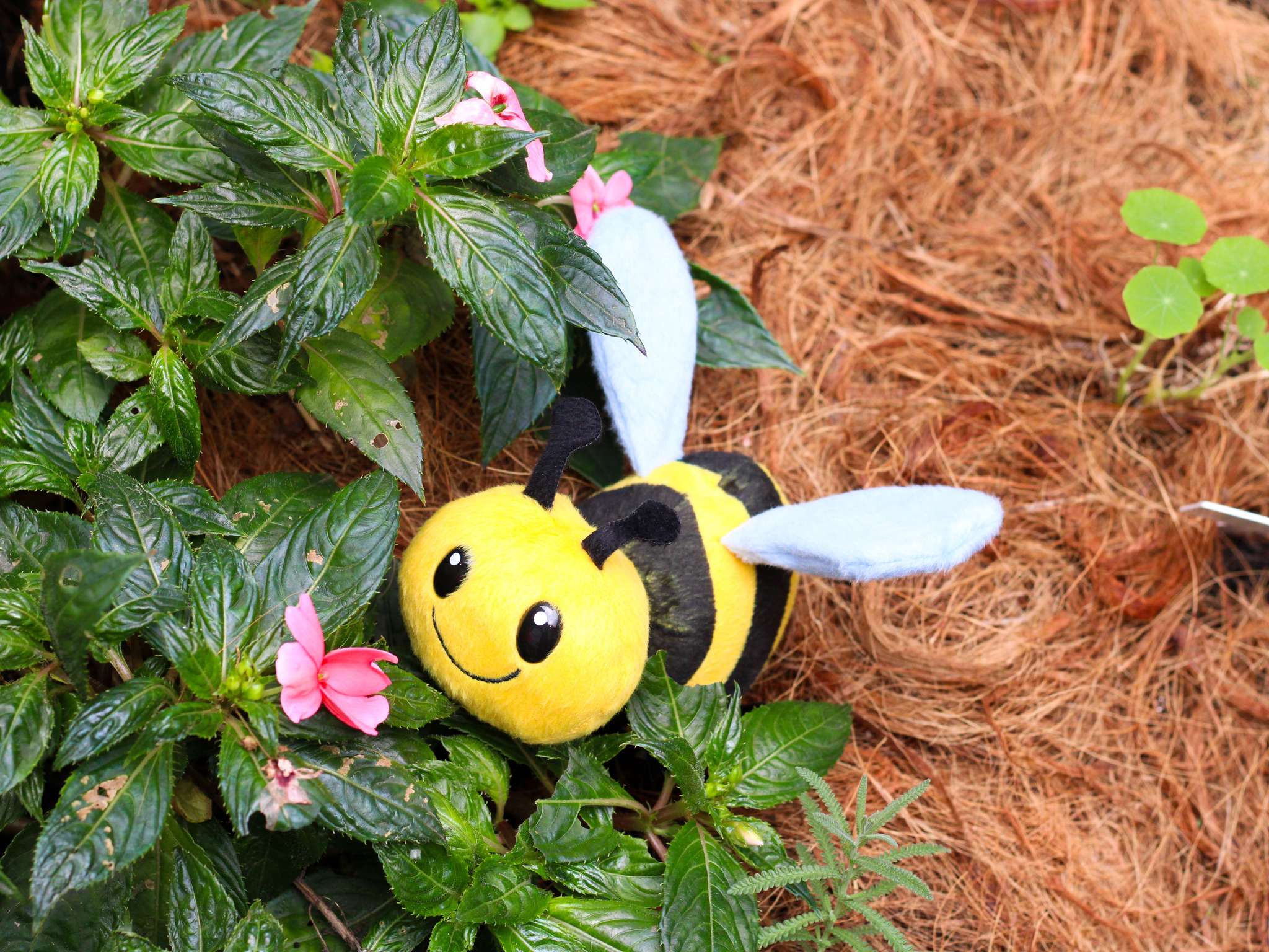 Photo - Grand Mercure Sao Paulo Vila Olimpia