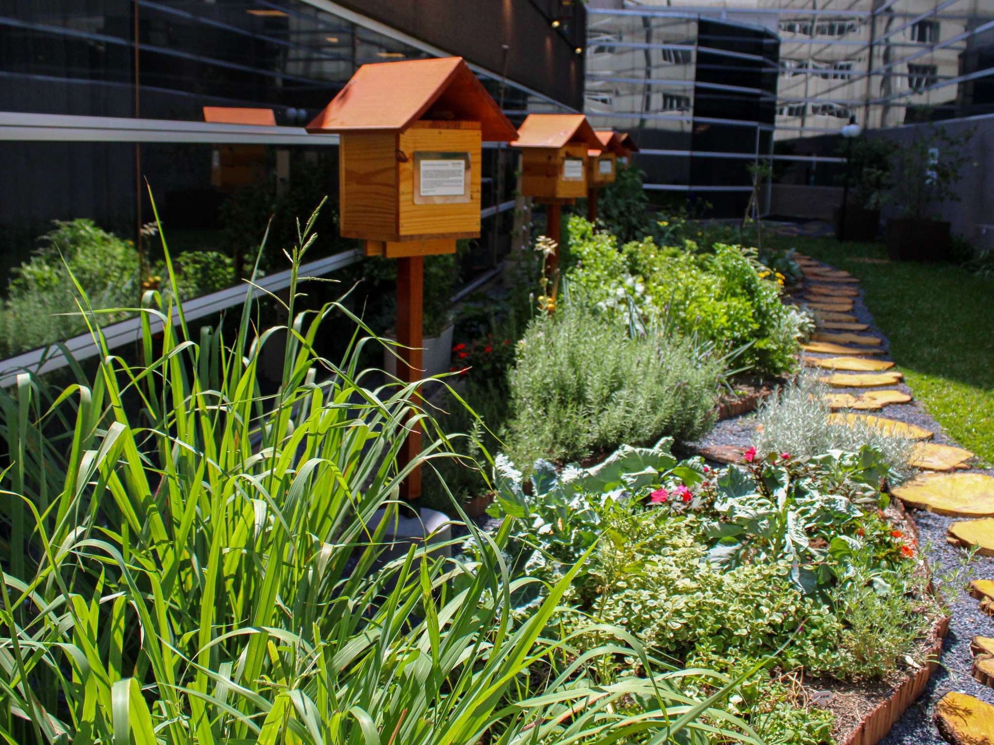 Photo - Grand Mercure Sao Paulo Vila Olimpia