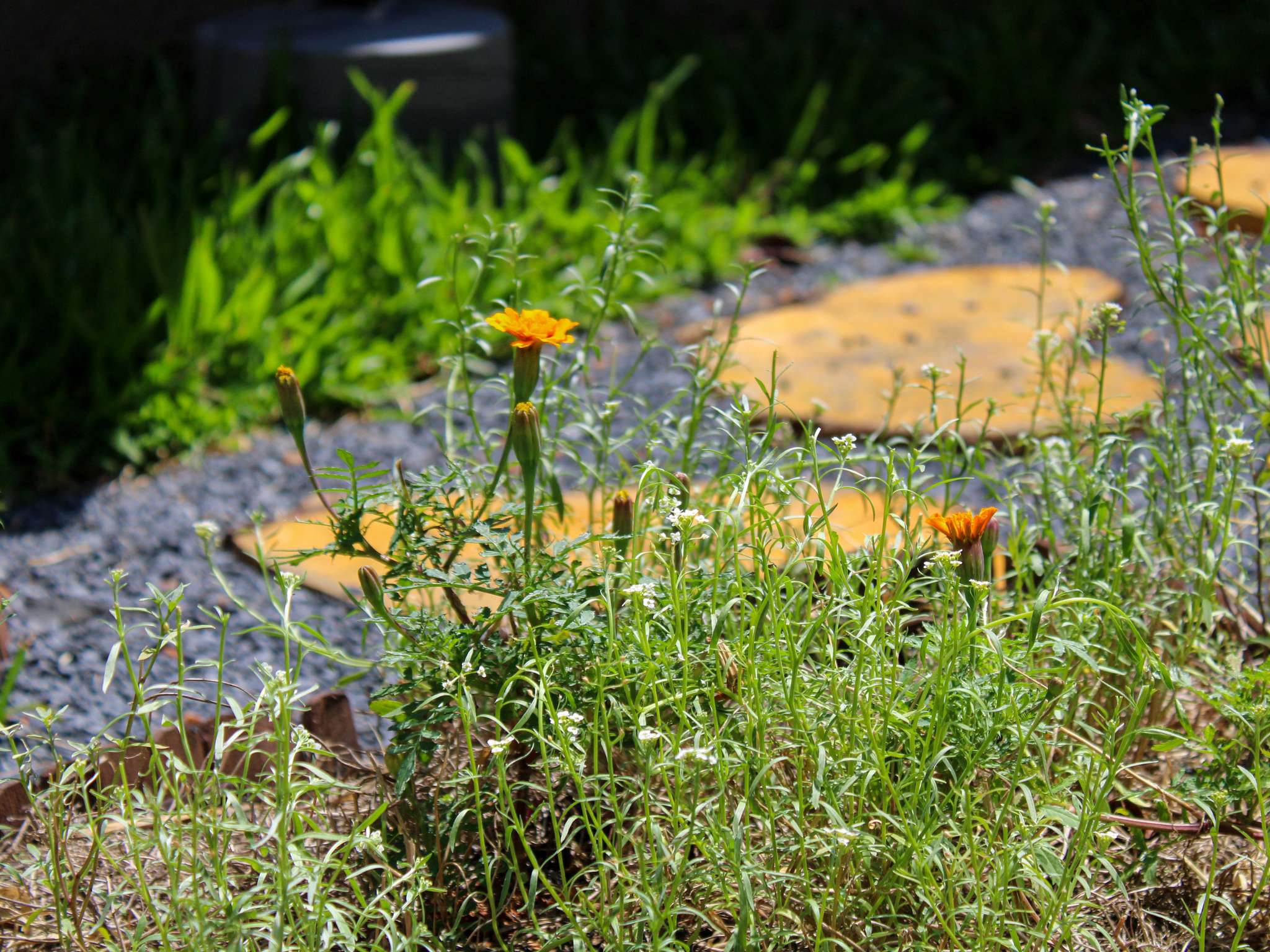 Photo - Grand Mercure Sao Paulo Vila Olimpia