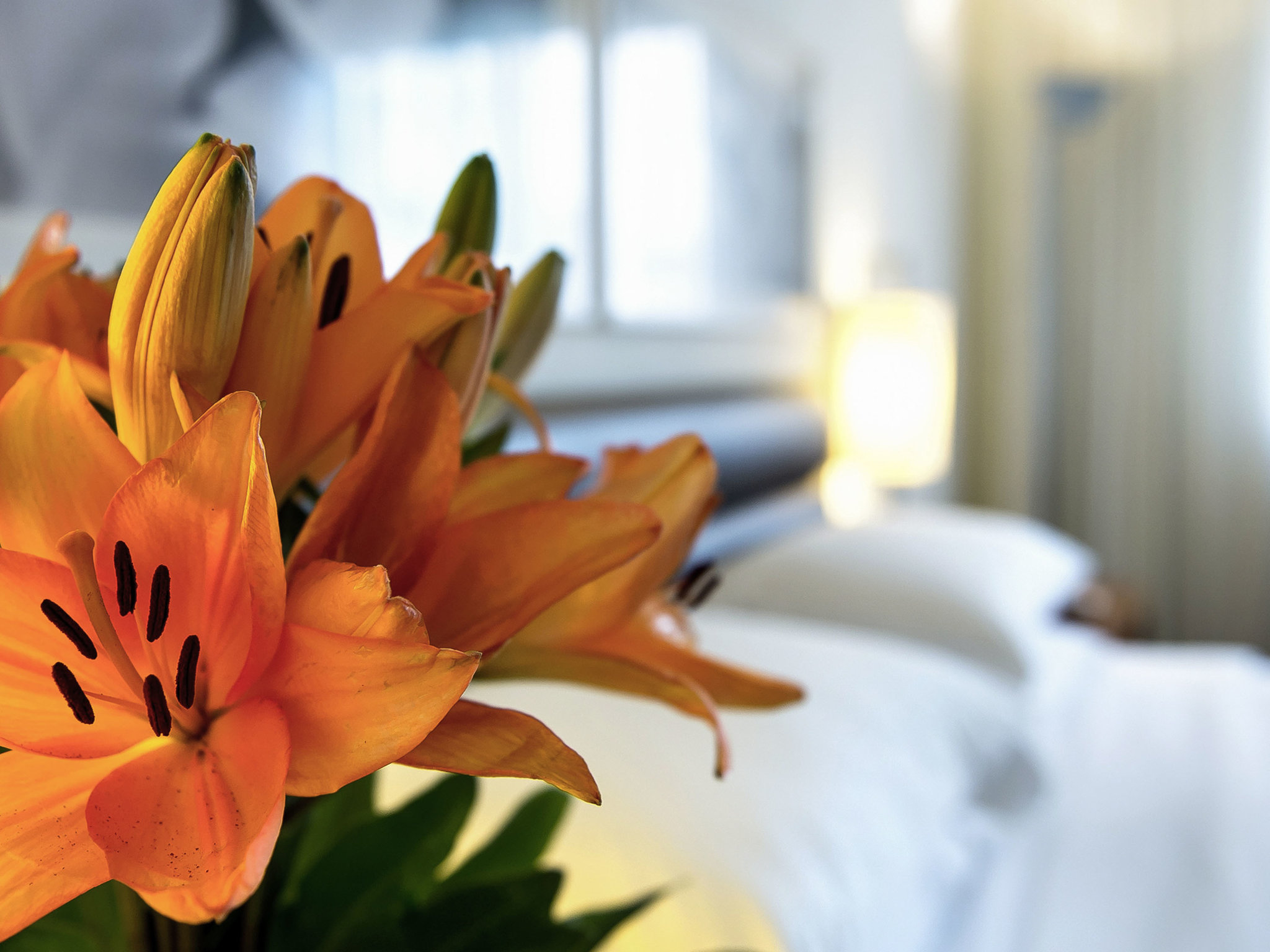 Photo - Grand Mercure Sao Paulo Vila Olimpia