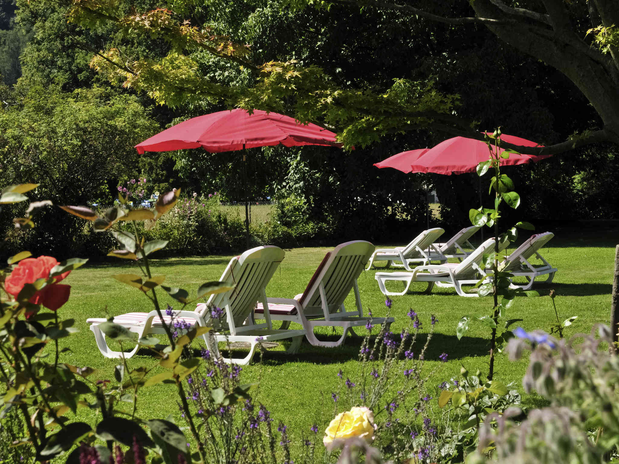Photo - Royal St. Georges Hotel Interlaken - MGallery Collection