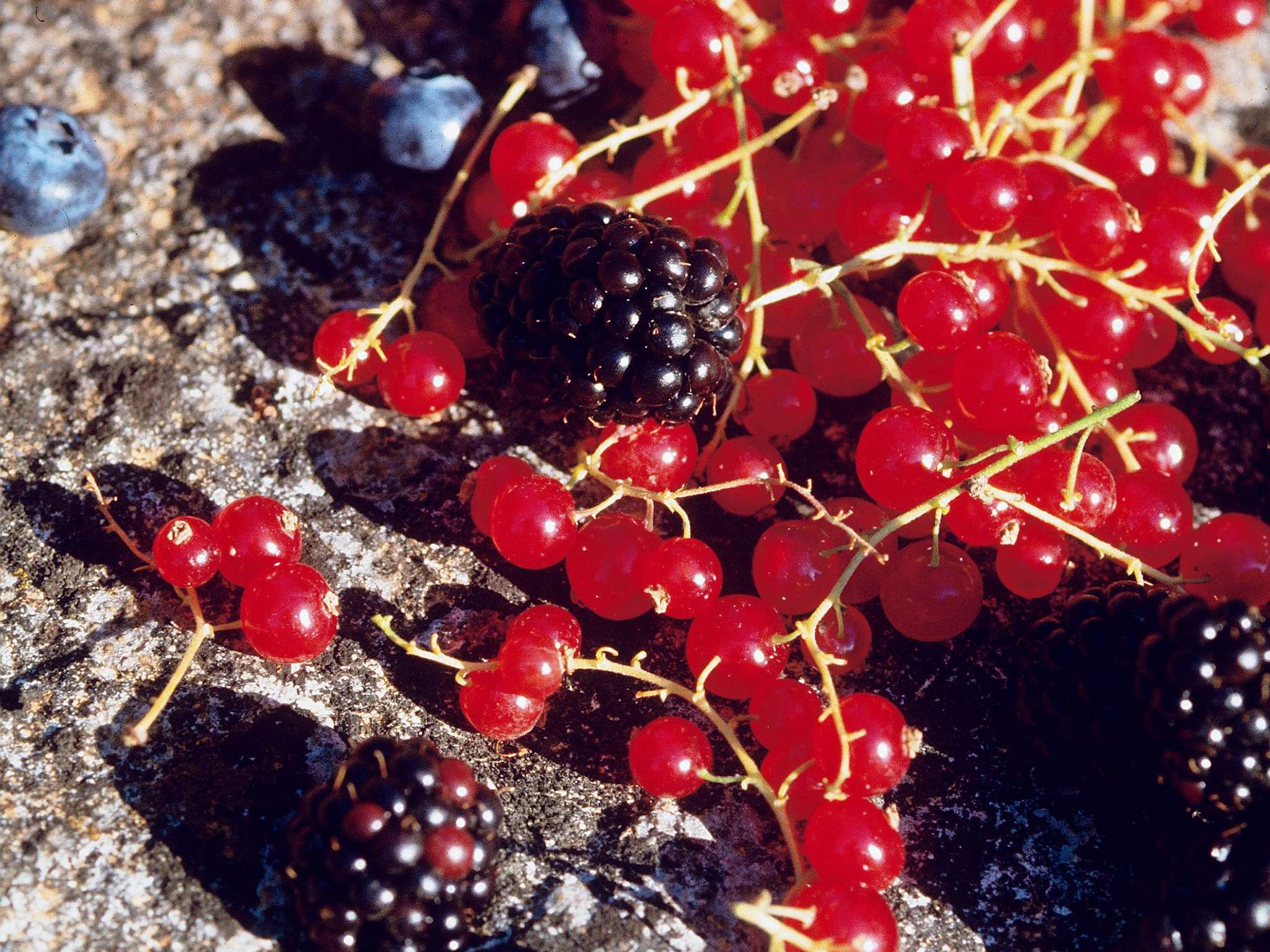 Photo - Mercure Warszawa Airport