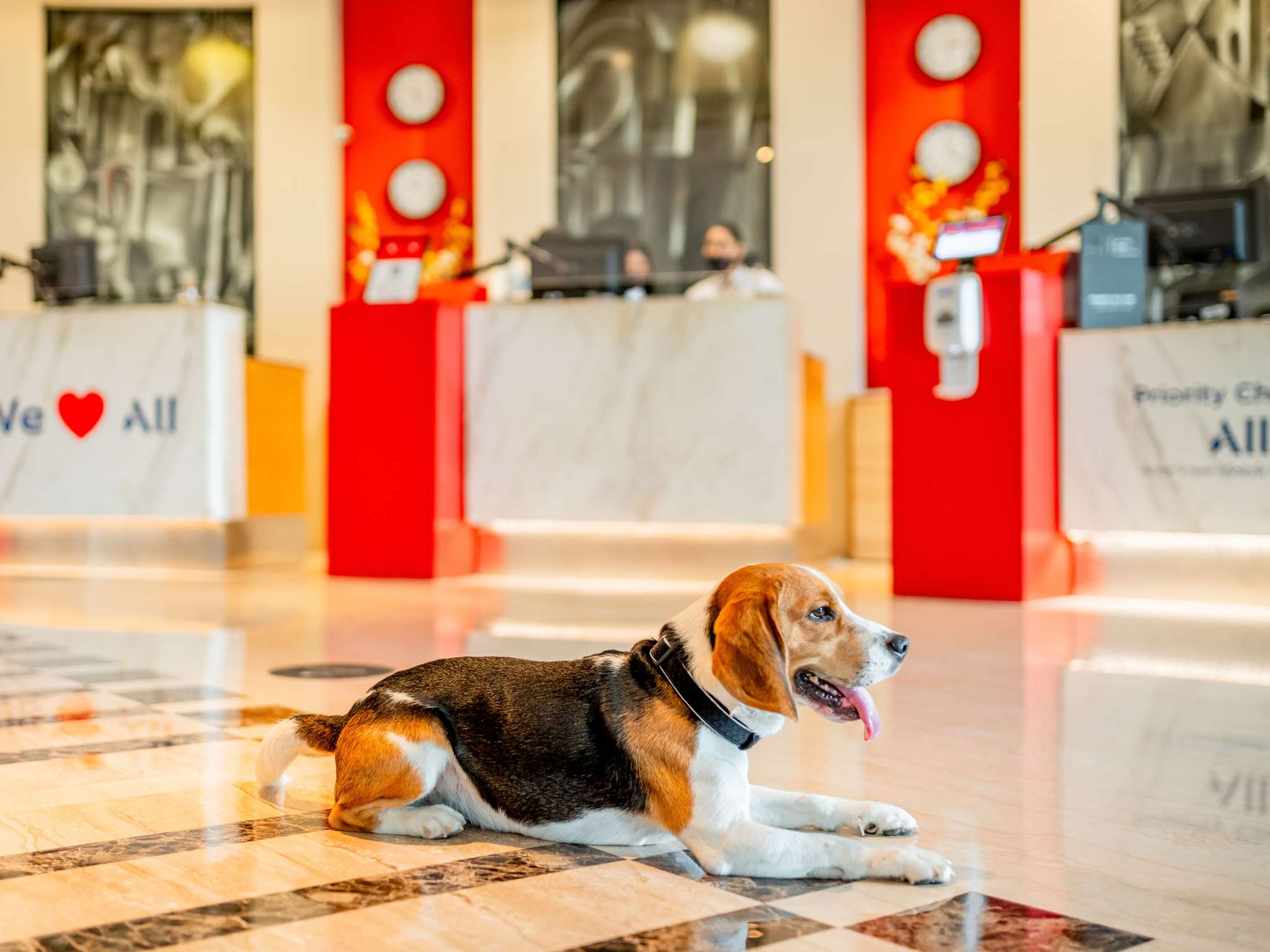 Foto - Ibis Leipzig City