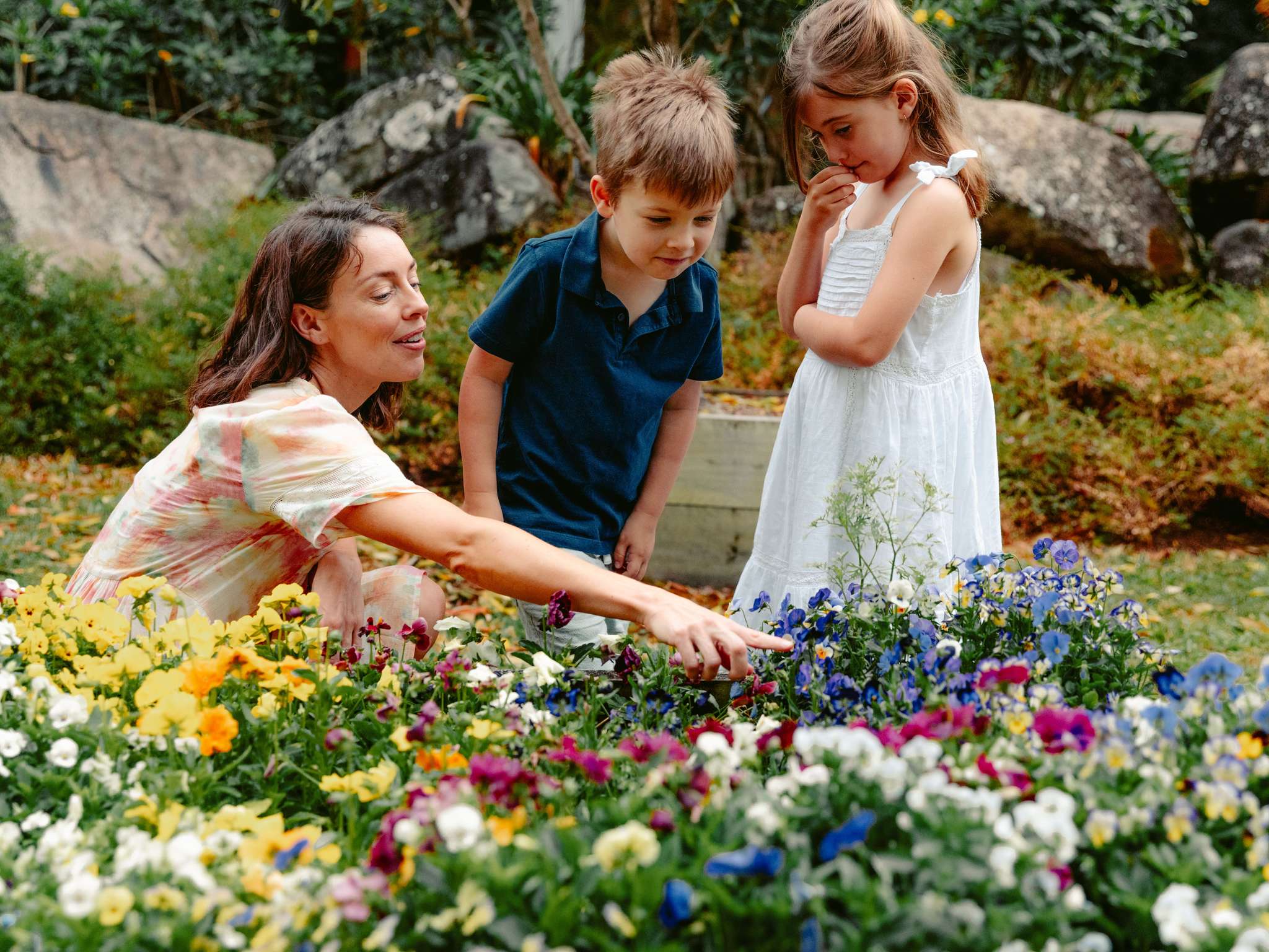 Photo - Mercure Gold Coast Resort