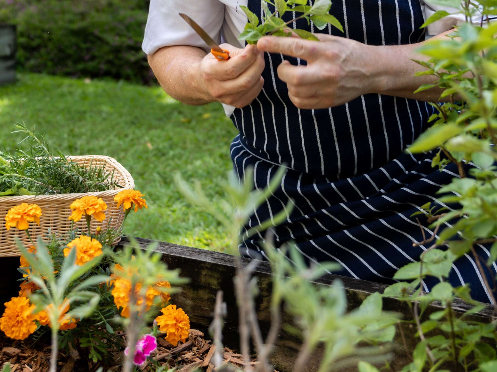 Photo - Mercure Gold Coast Resort