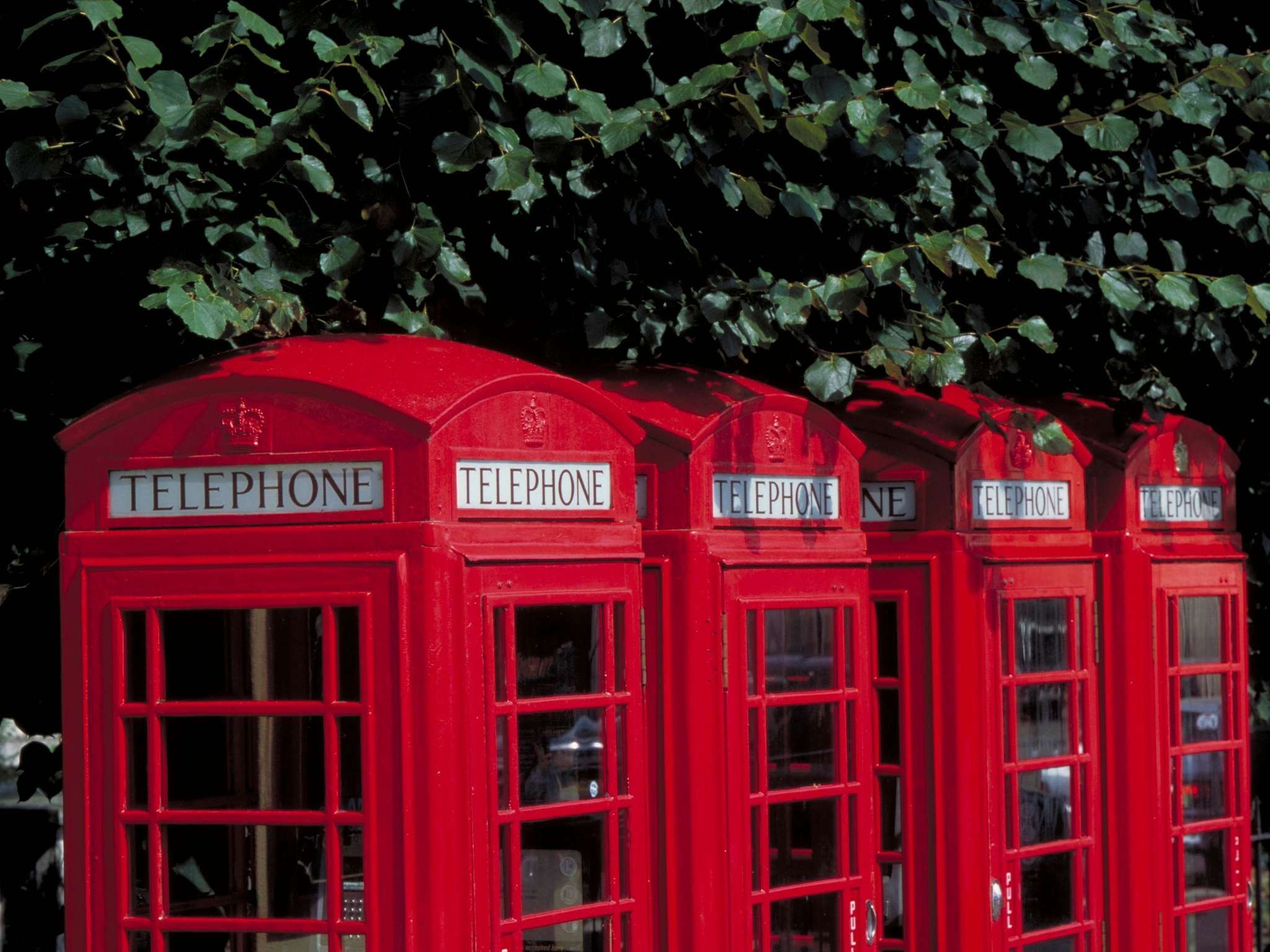 Foto - Novotel London Canary Wharf