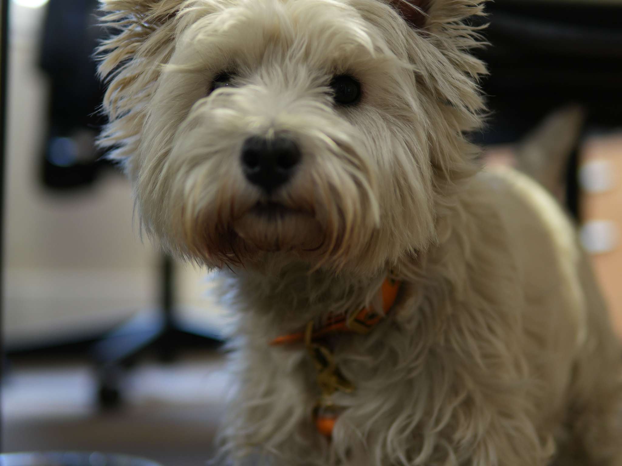 Foto - ibis Styles Caen centre gare