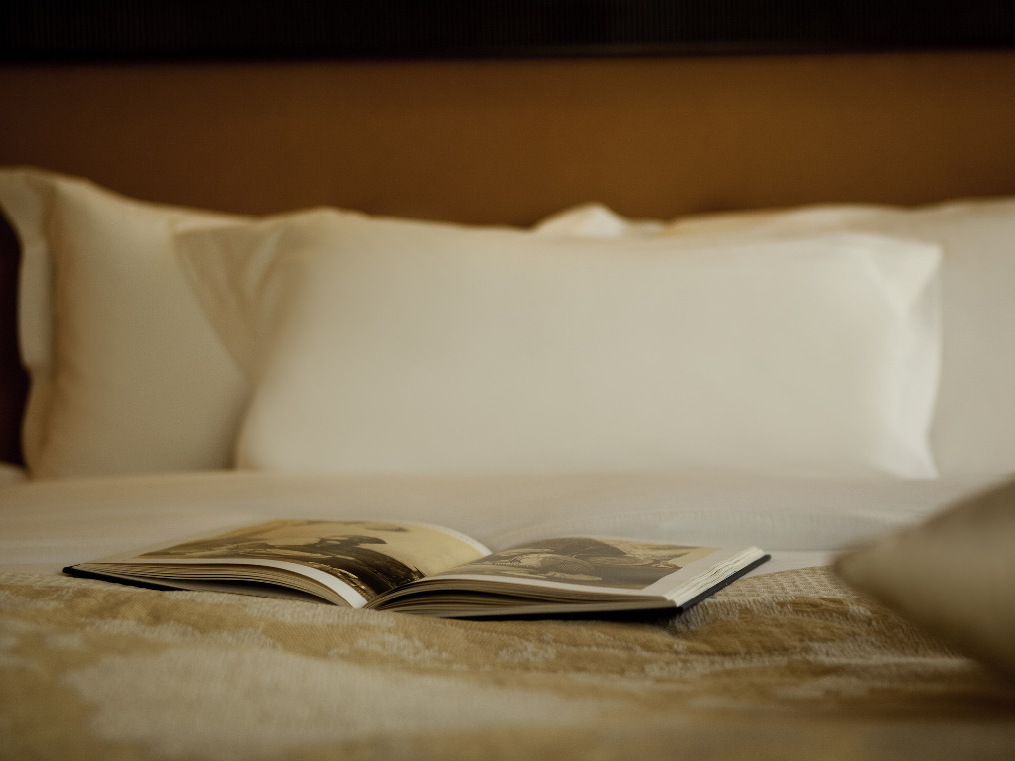 Photo - Royal Hotel Oran - MGallery Collection