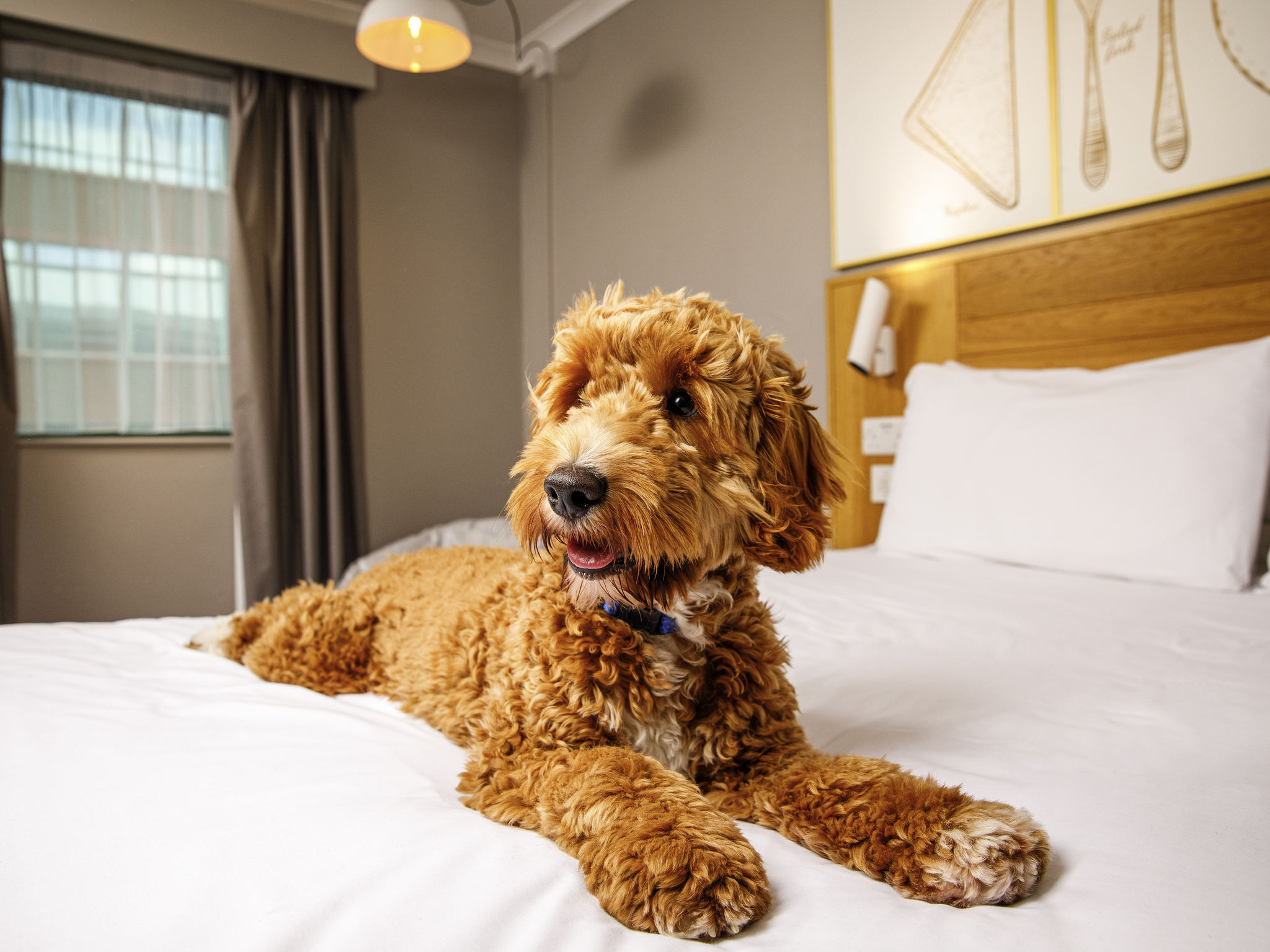 Foto - ibis Styles Birmingham Centre