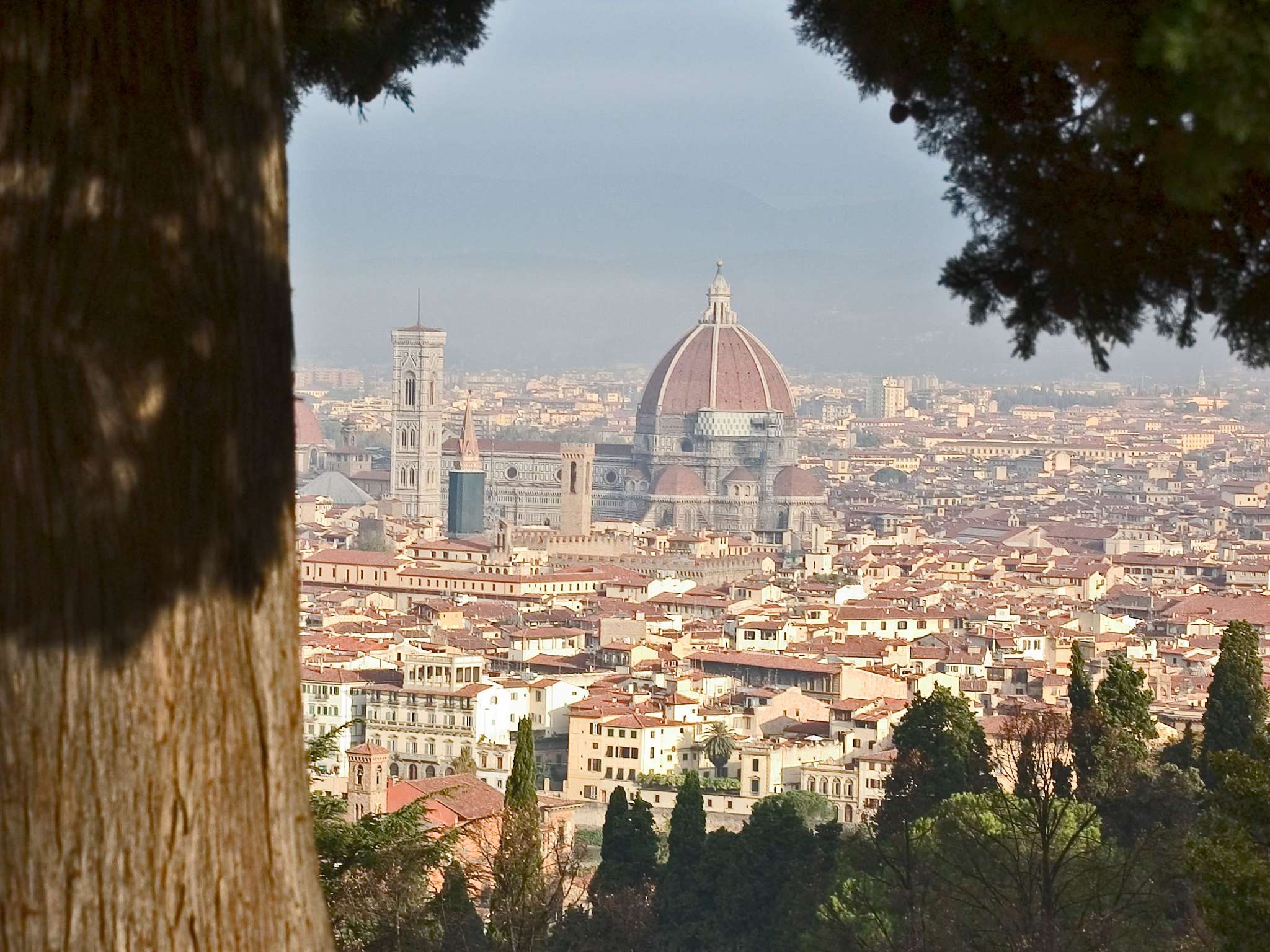 Foto - Mercure Firenze Centro