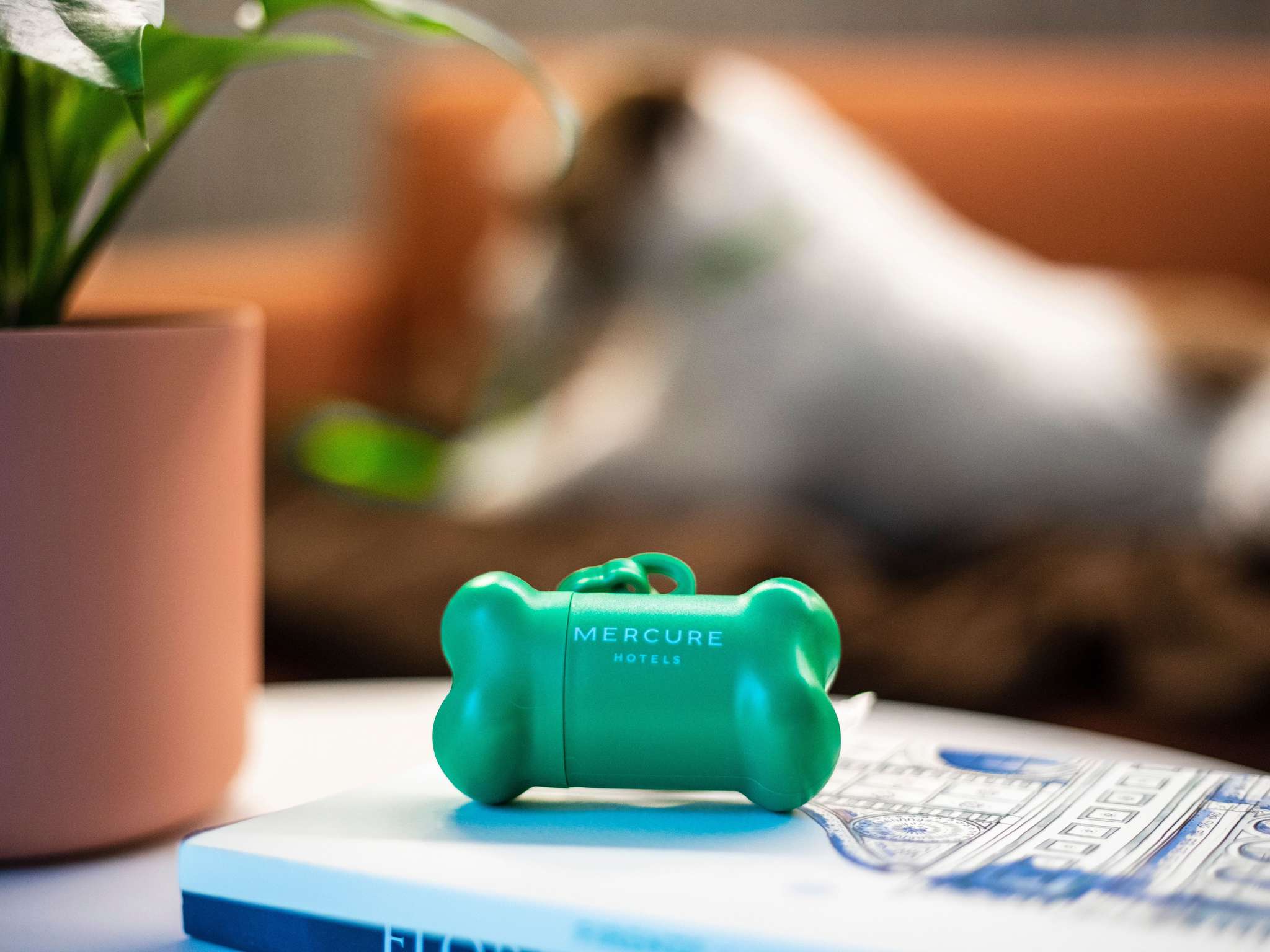 Foto - Mercure Firenze Centro