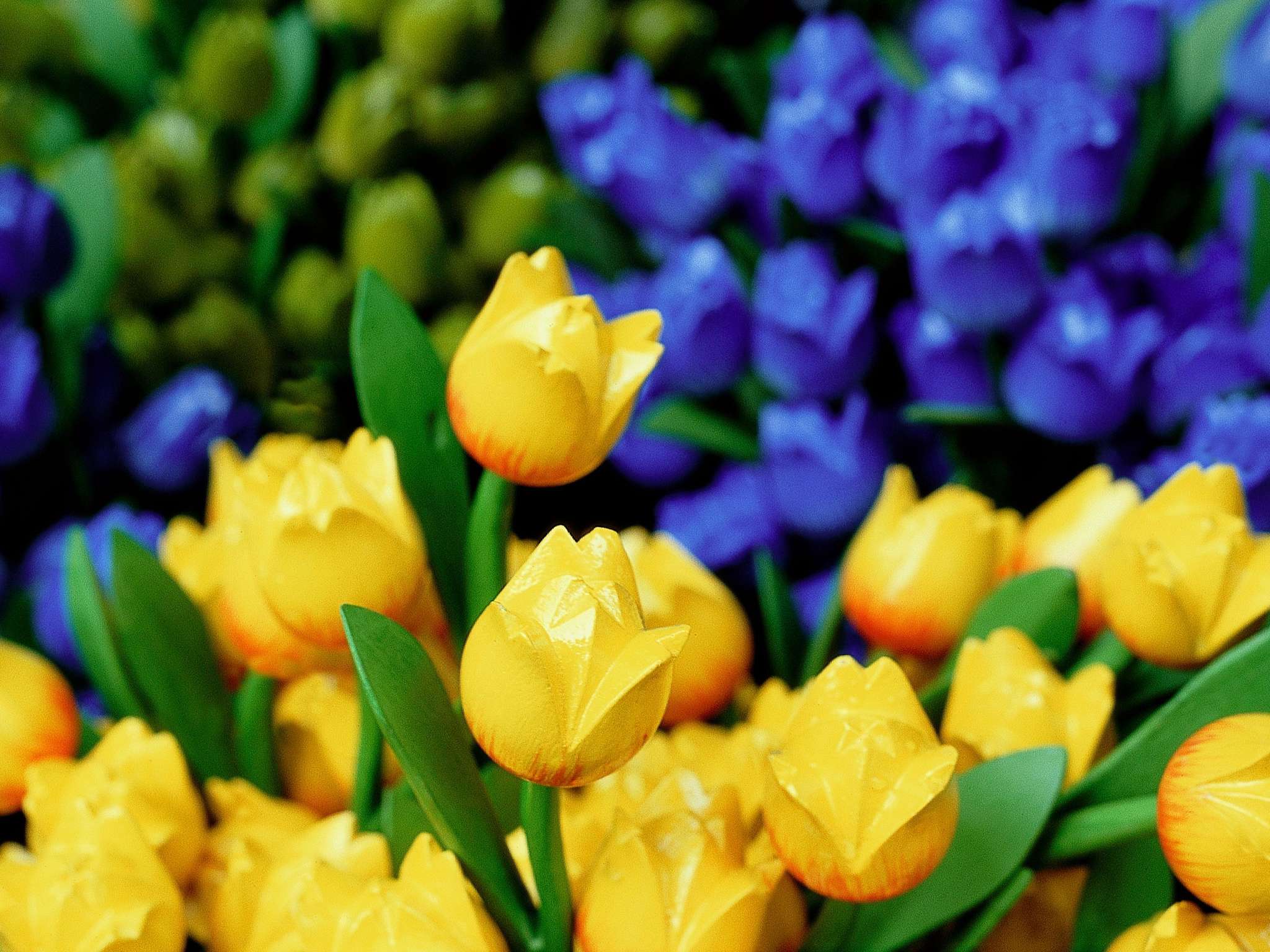 Photo - ibis Styles Amsterdam Central Station