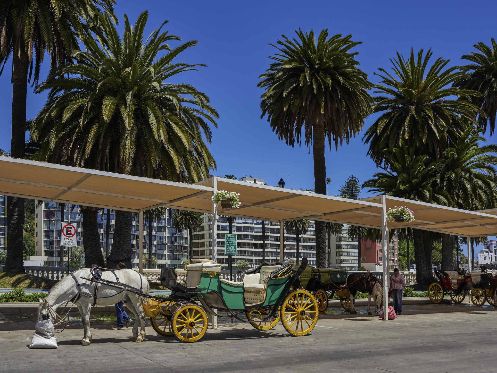 Foto - Novotel Vina del Mar
