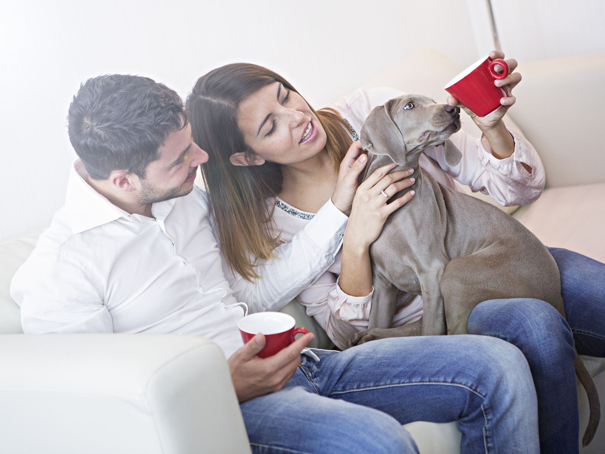 Foto - Novotel Roma Eur