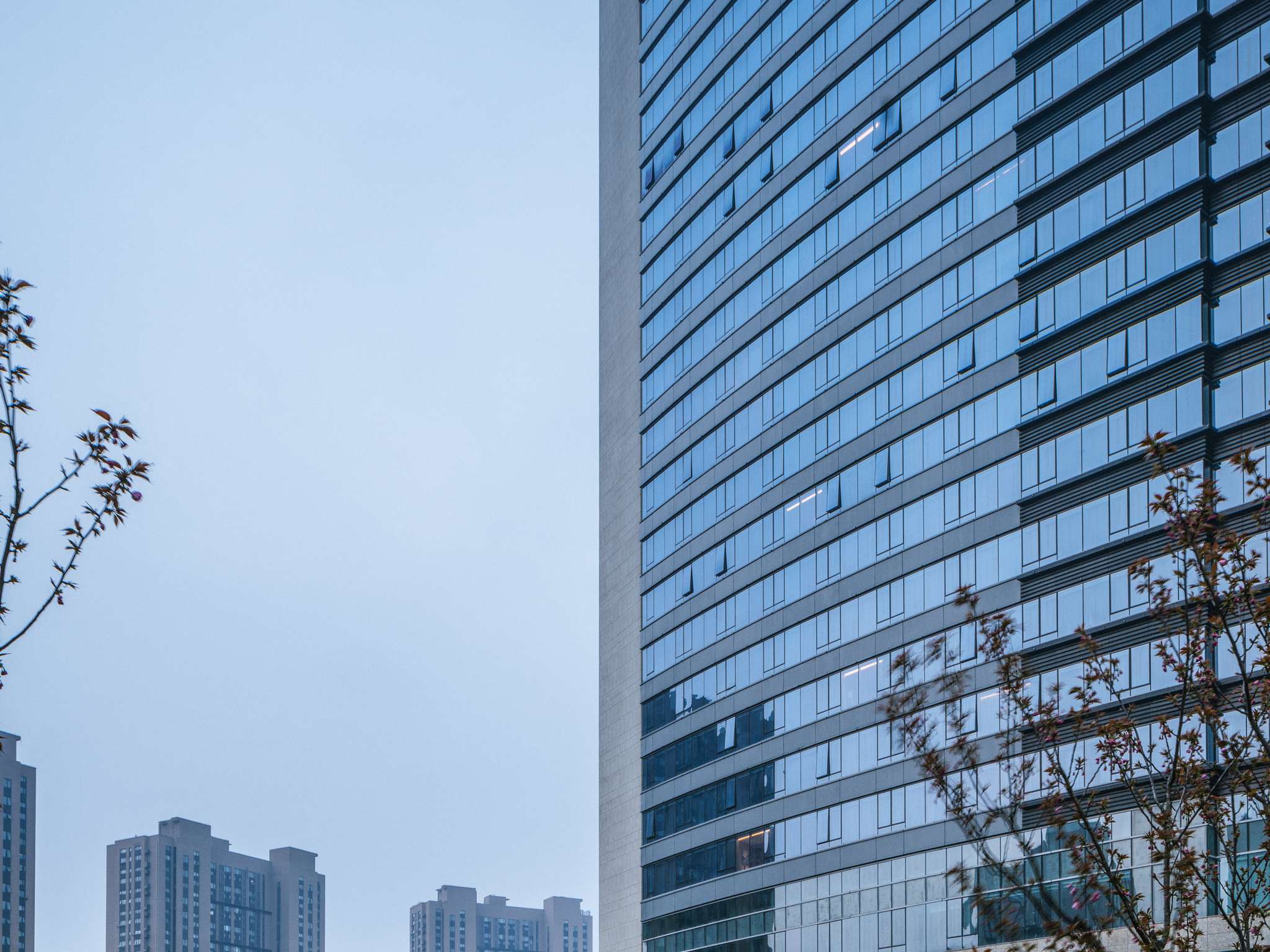 Foto - Pullman Shanghai Qingpu Excellence