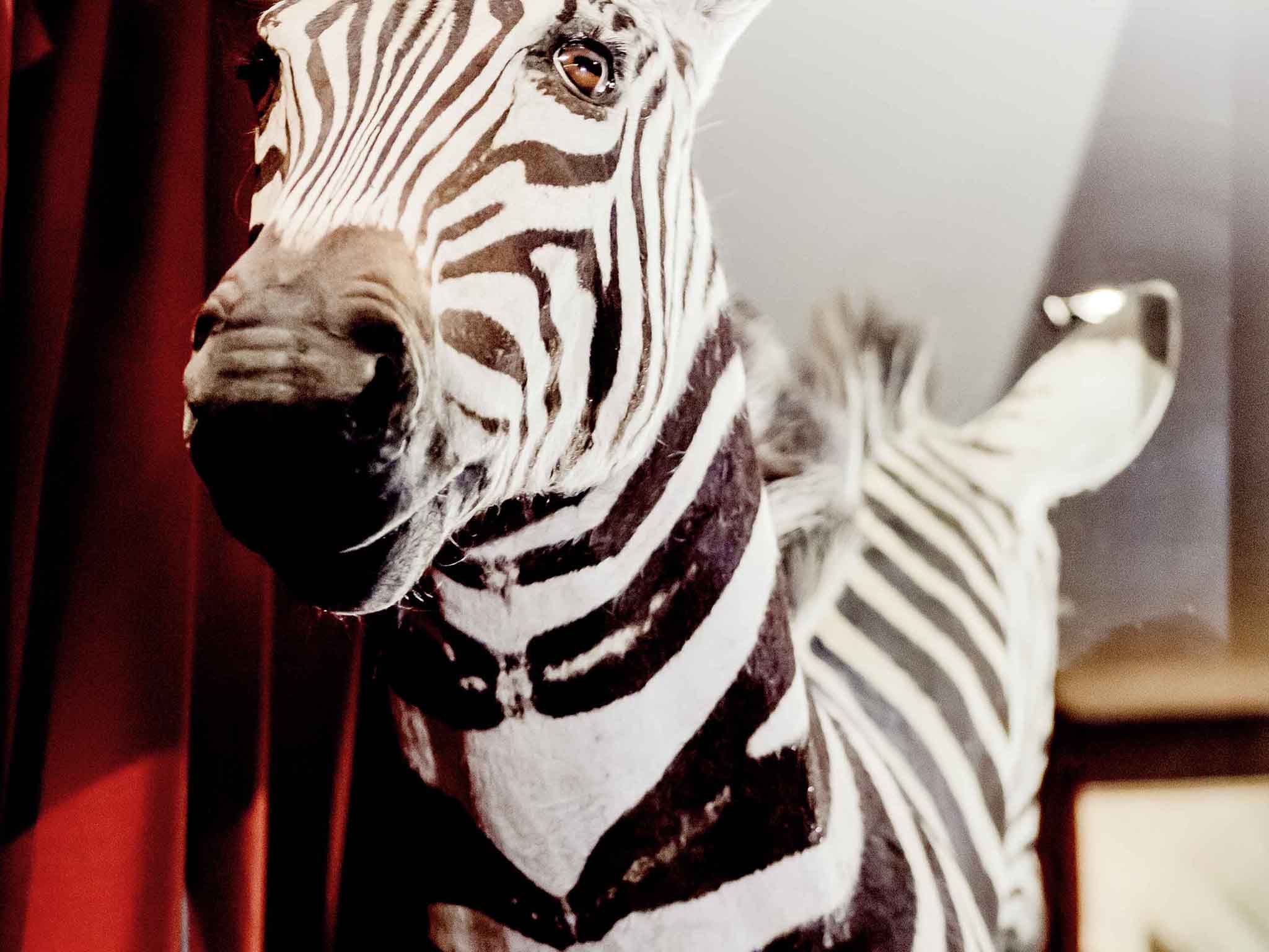 Photo - Park Hotel Grenoble - MGallery Collection